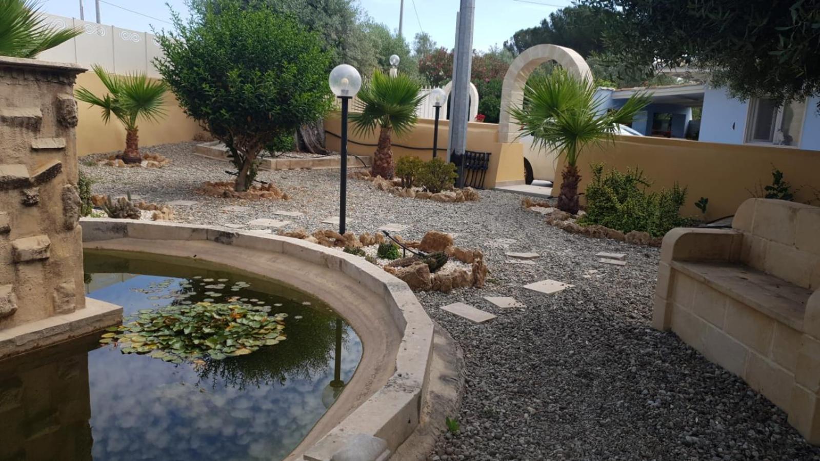 Photo 31