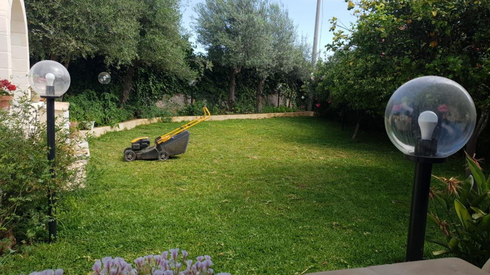 Photo 33