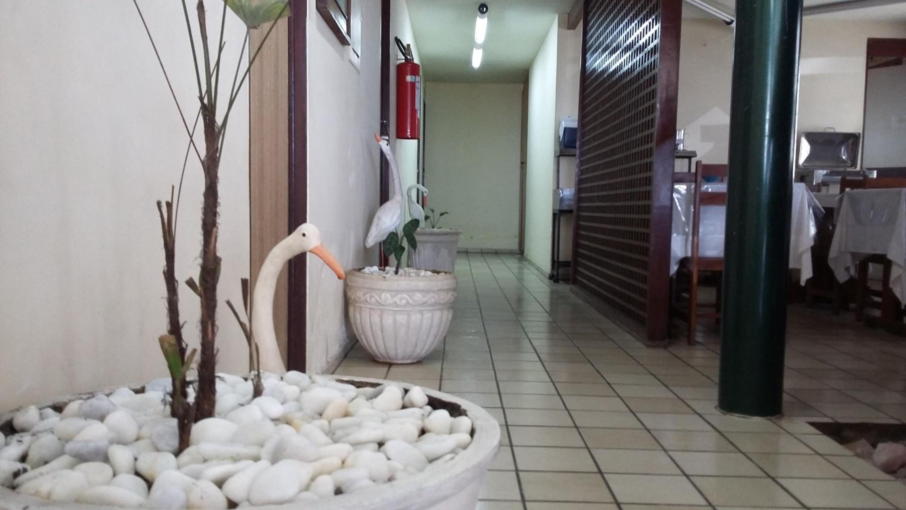 Escuna Praia Hotel