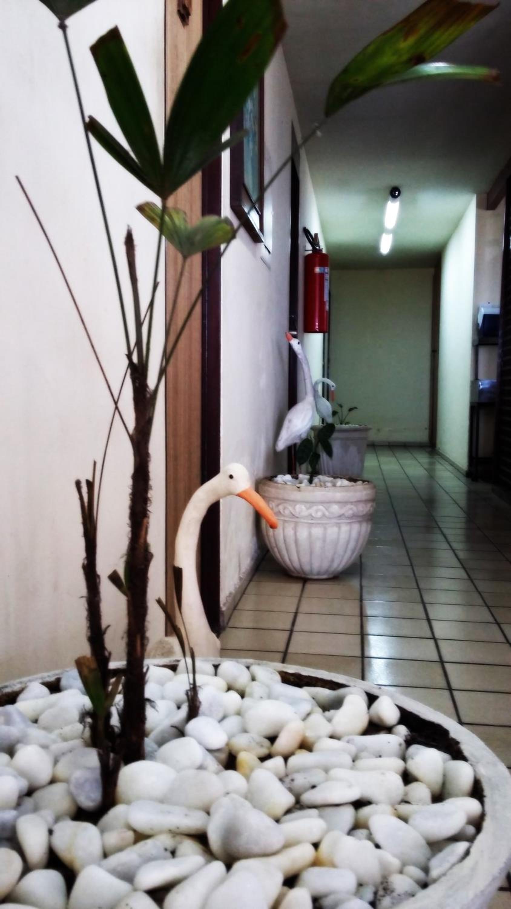 Escuna Praia Hotel
