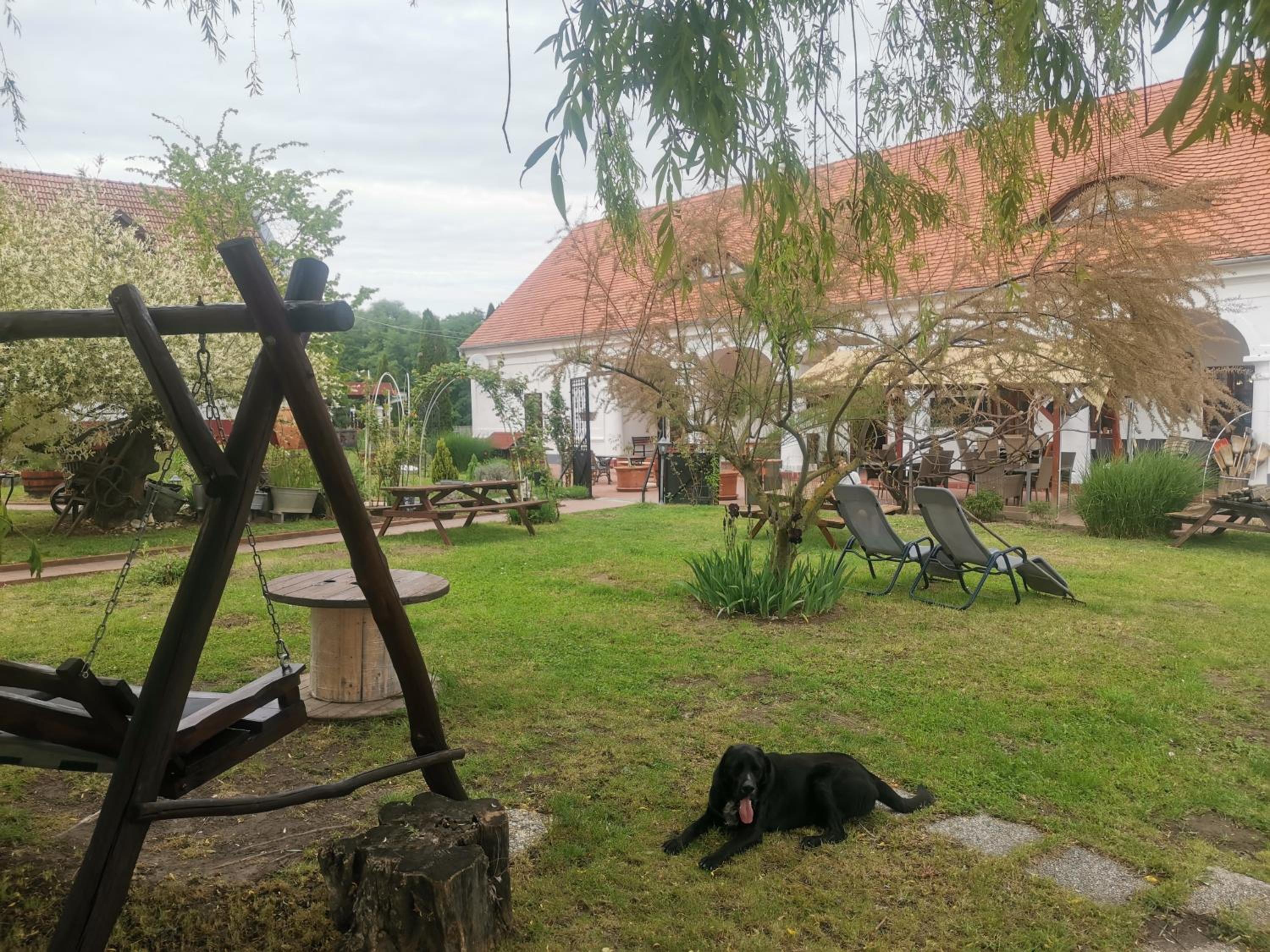 Photo 21