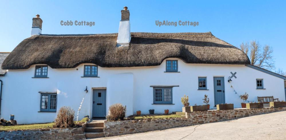 Cobb Cottage - HiddenDevon