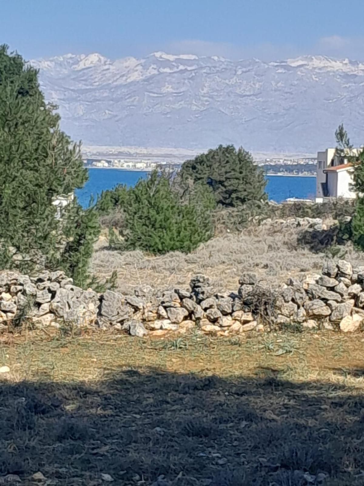 Caliente Apartments Vir A