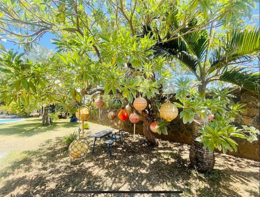 Villa Banian Île Maurice view 5