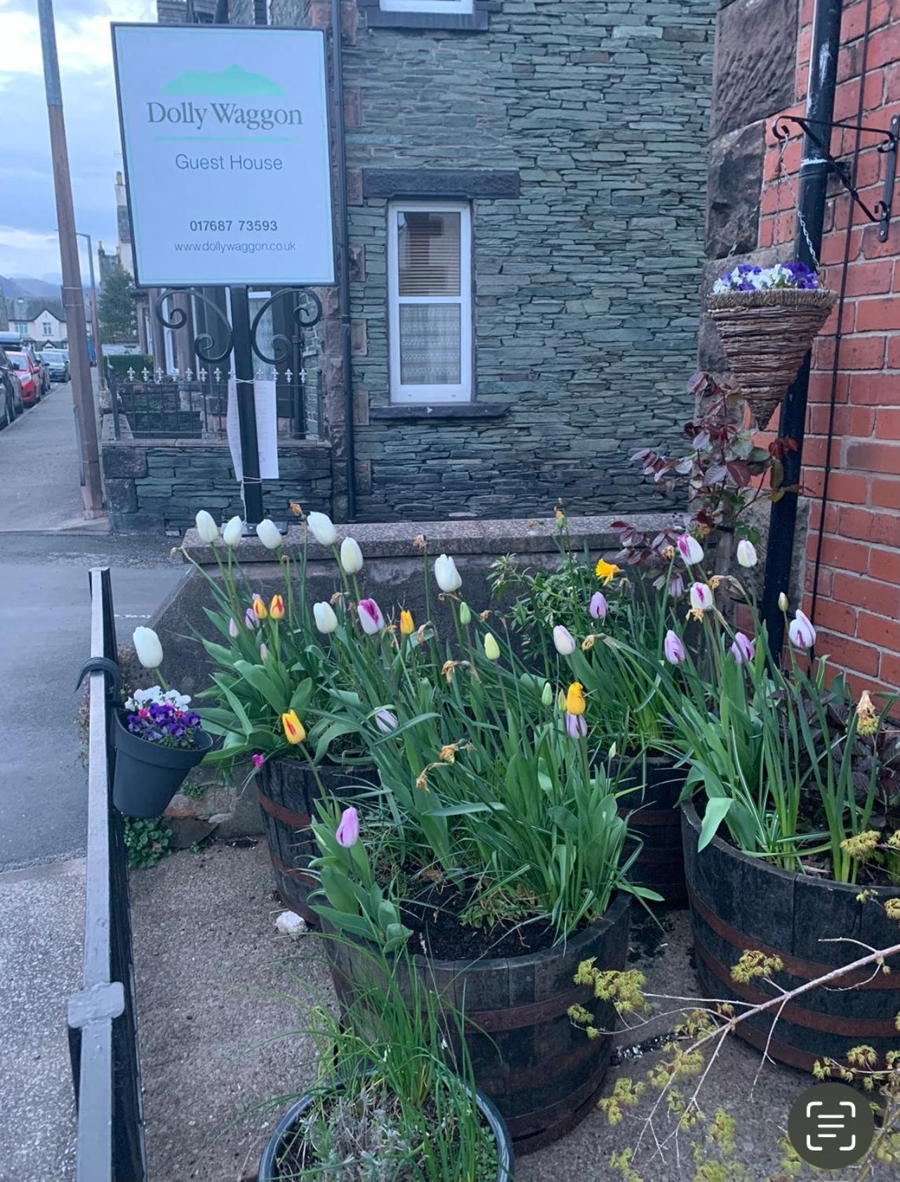 Hotel Dolly Waggon Guest House - Image 1