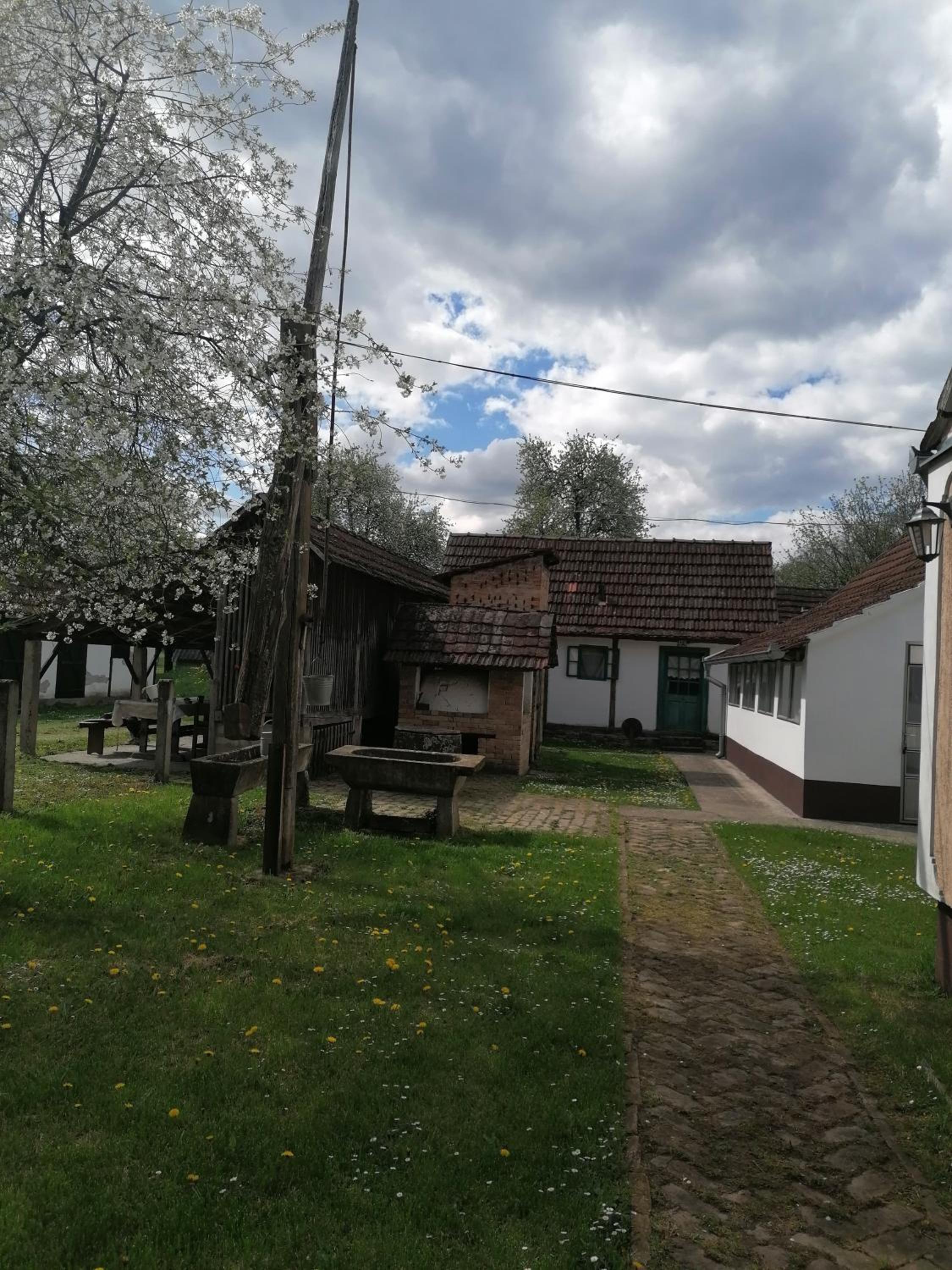 Photo 6