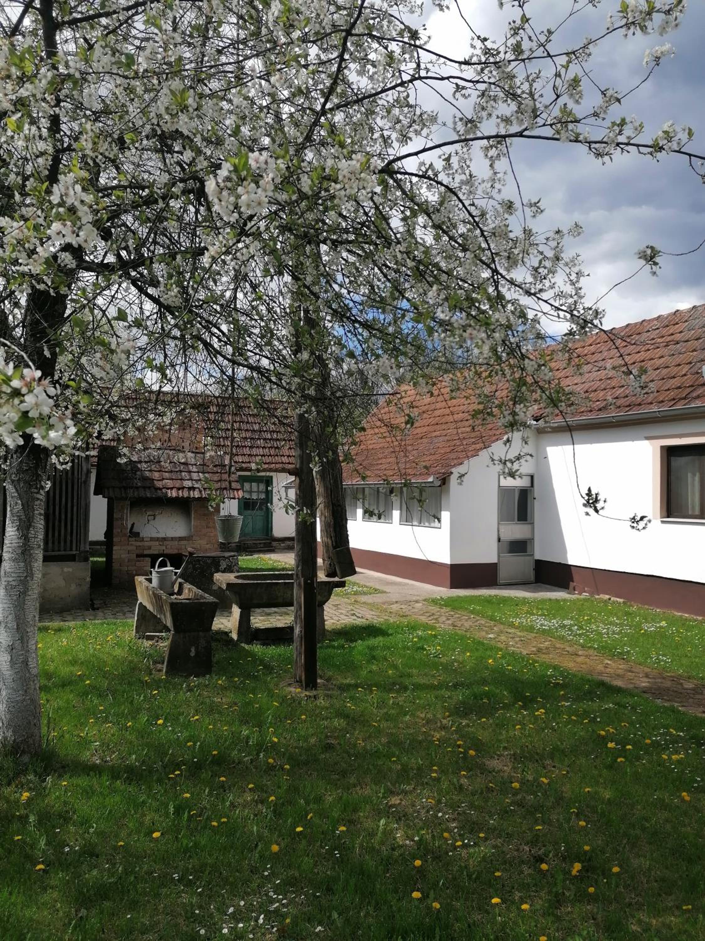 Photo 7
