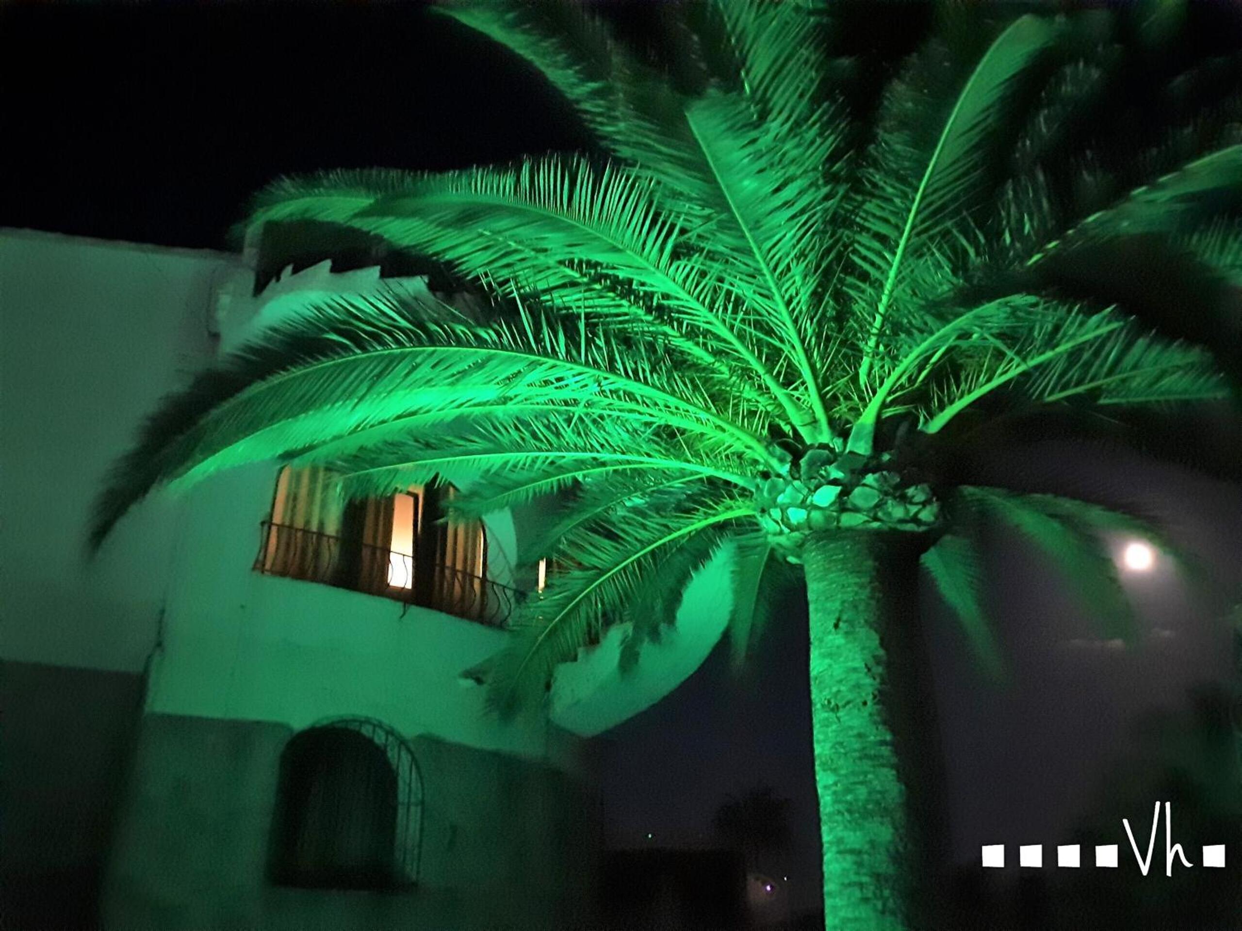VH CostaBlanca - CABANILLAS
