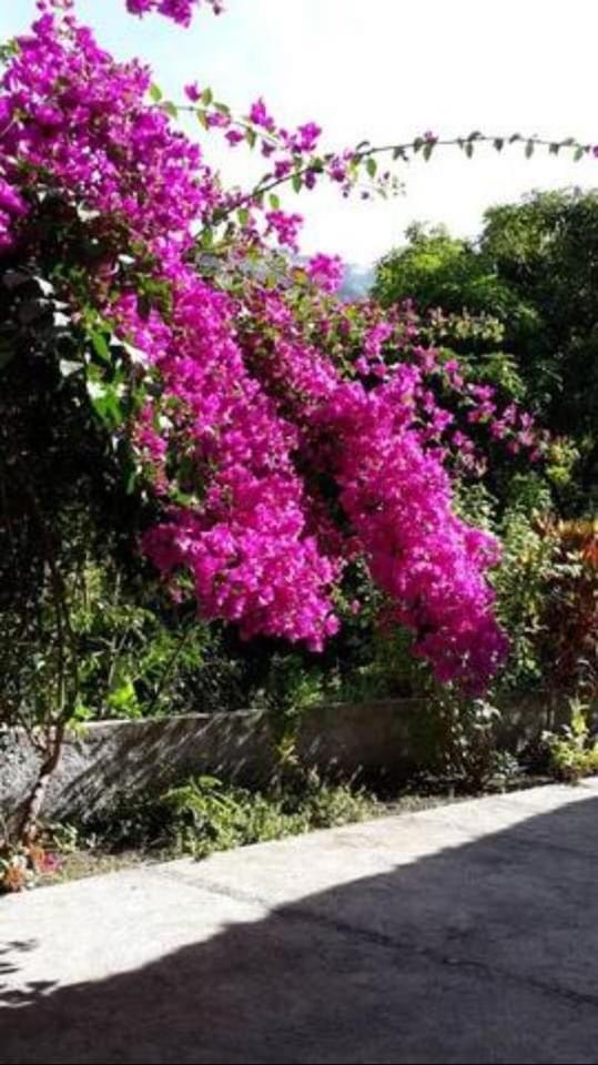 Cottage na Ribeira do Paúl