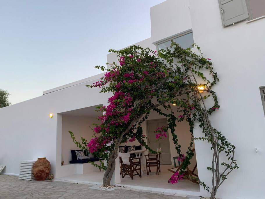 VILLA NOSTOS ANTIPAROS photo 2