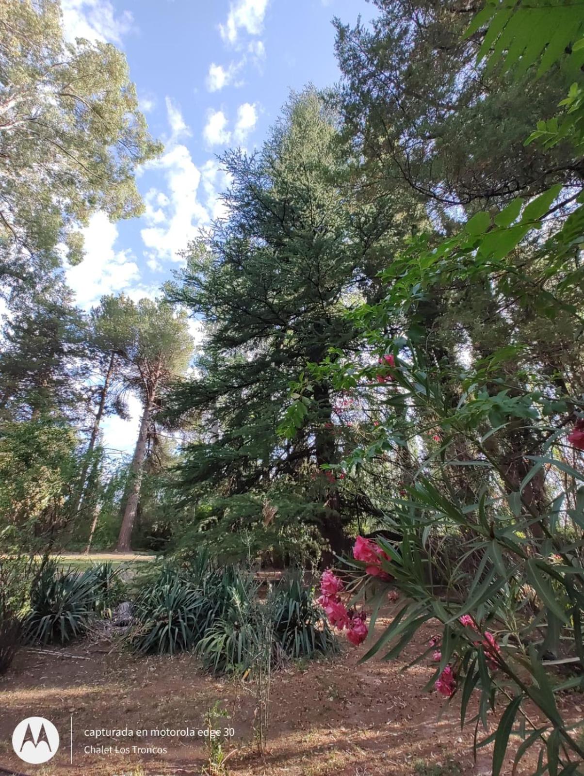 Chalet Los Troncos
