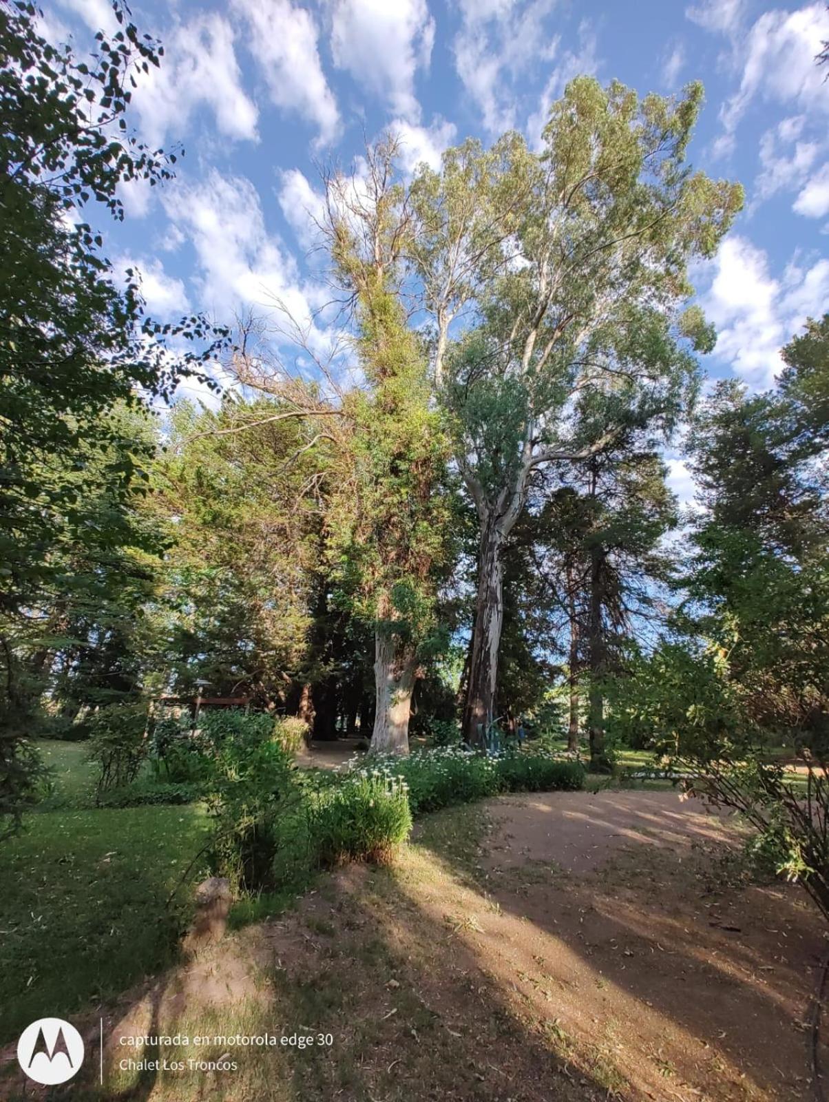 Chalet Los Troncos