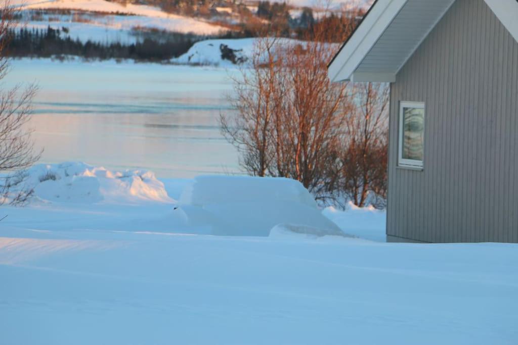 Paradise near Reykjavik w. Sauna - Northern Lights view 3