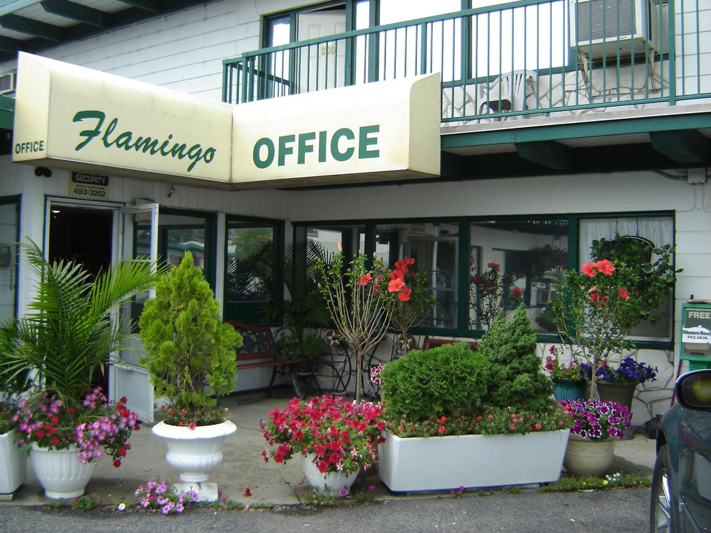 Flamingo Motel