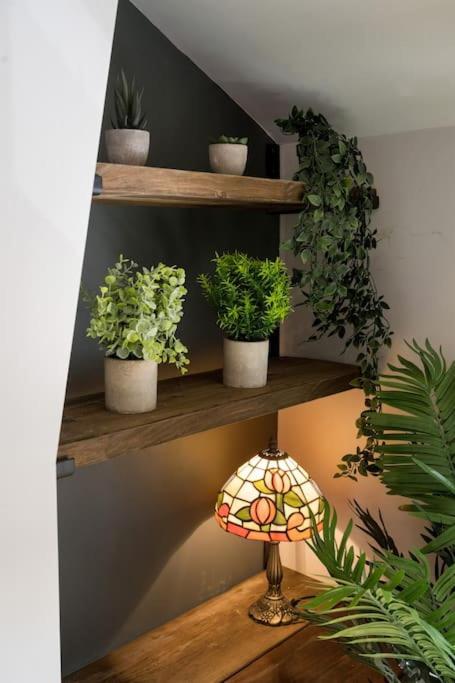 The Lettered Board Apartments
