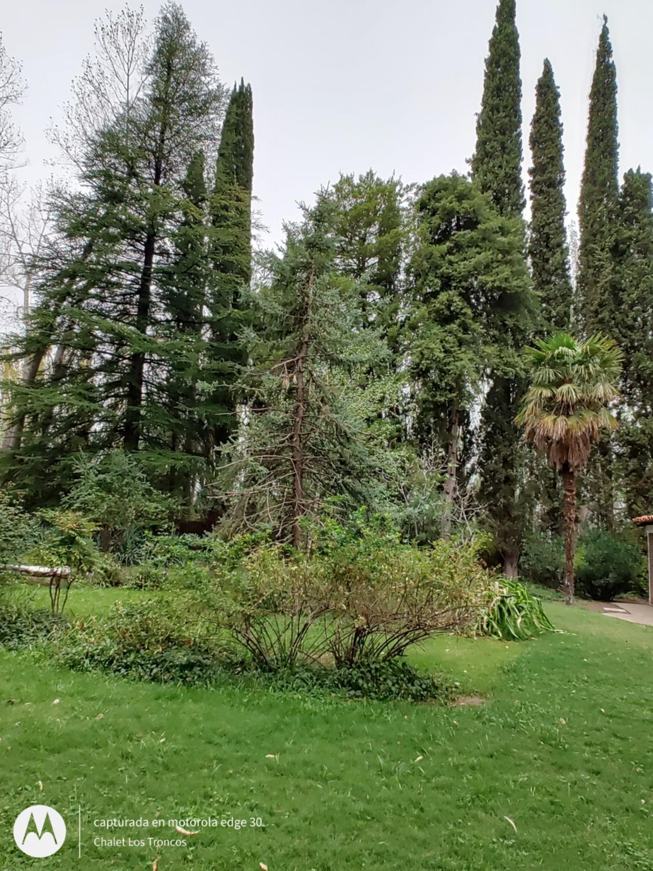 Chalet Los Troncos