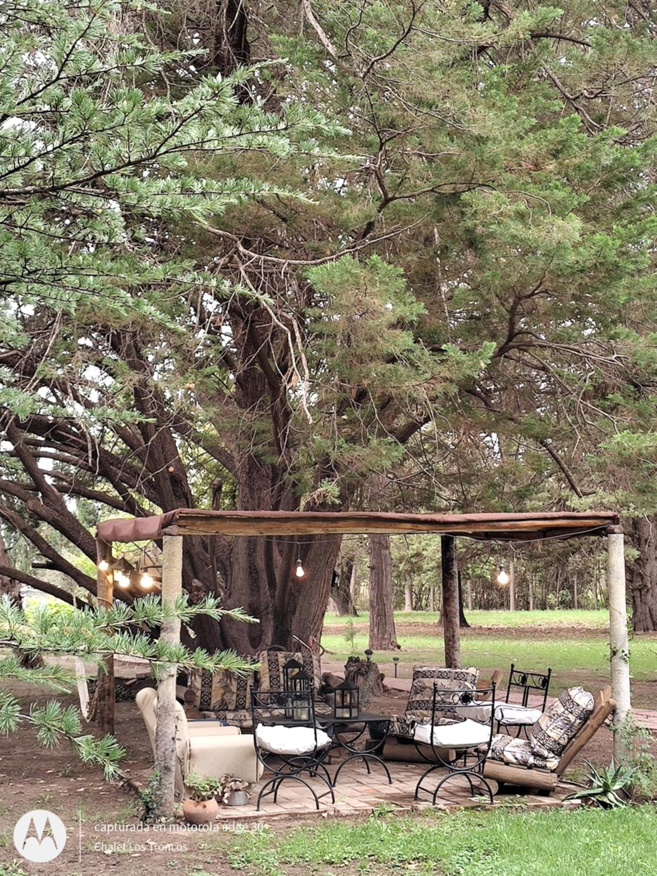 Chalet Los Troncos