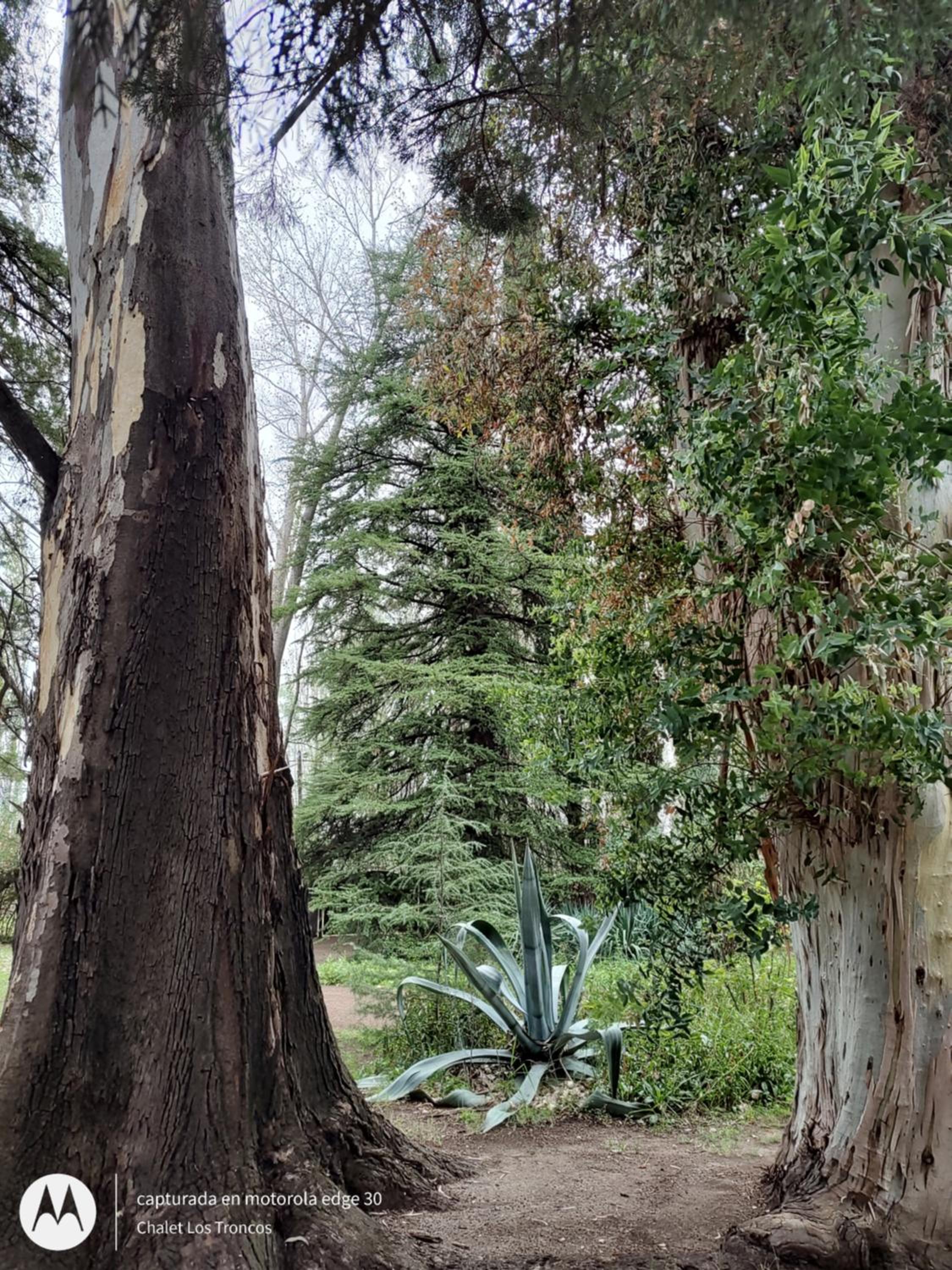 Chalet Los Troncos