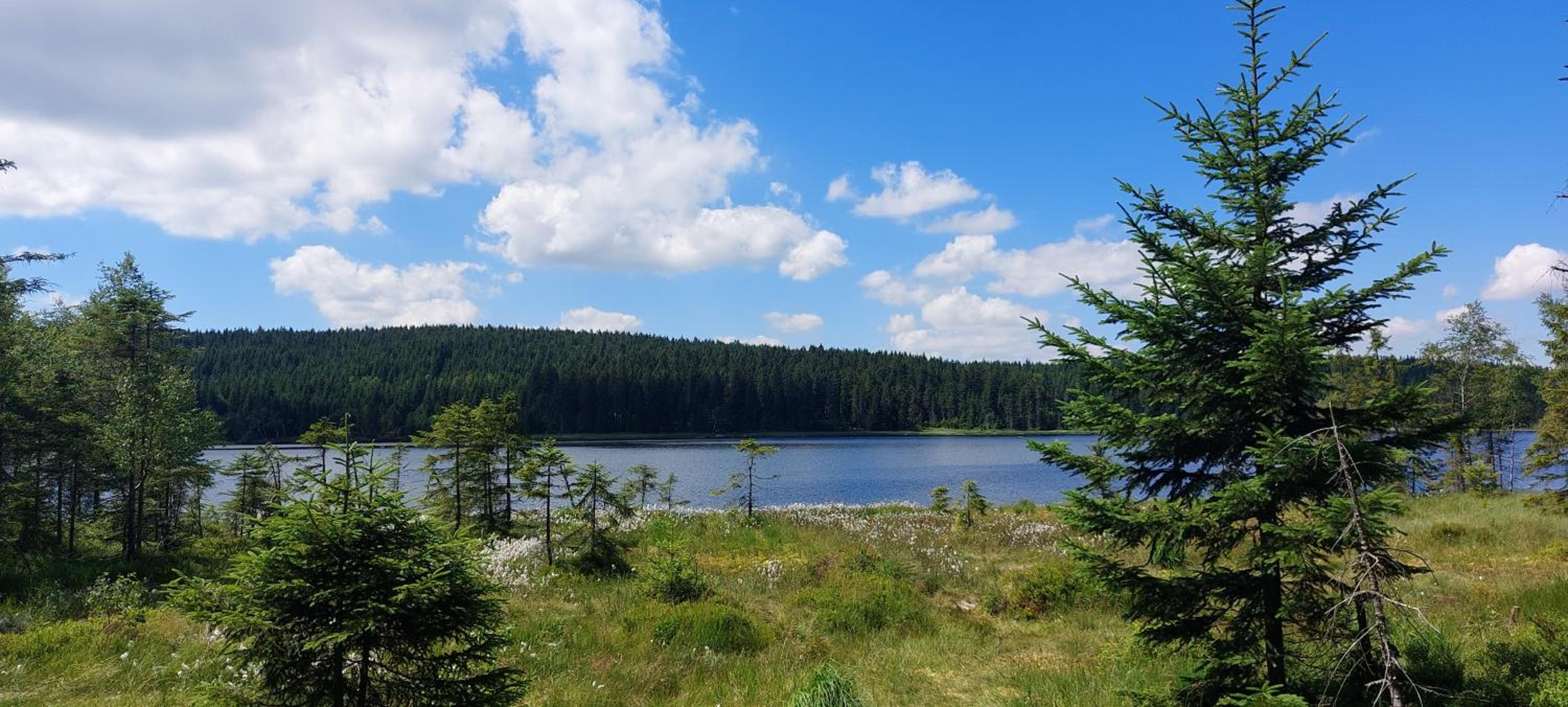 Apartmán Na kraji lesa