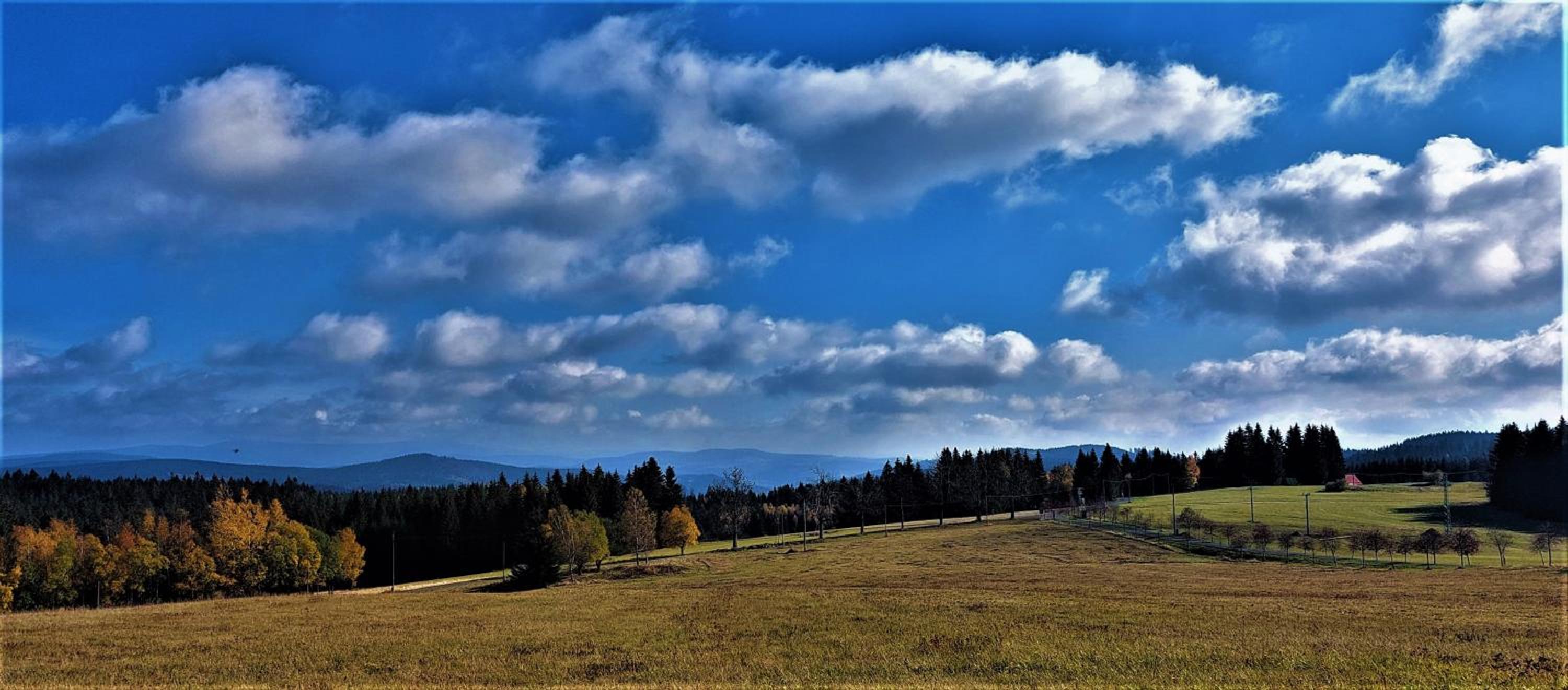 Apartmán Na kraji lesa