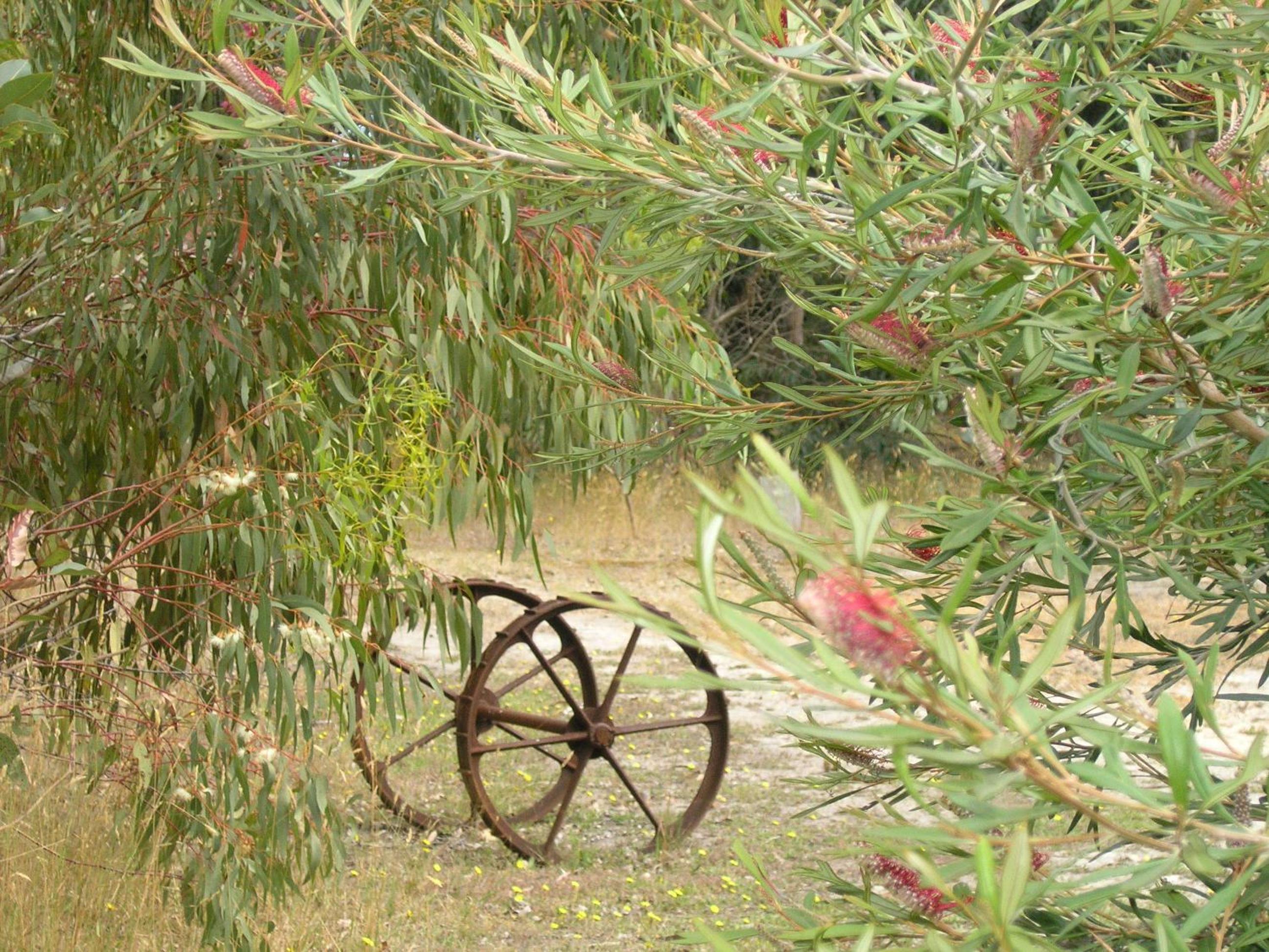 Ellensbrook Cottages