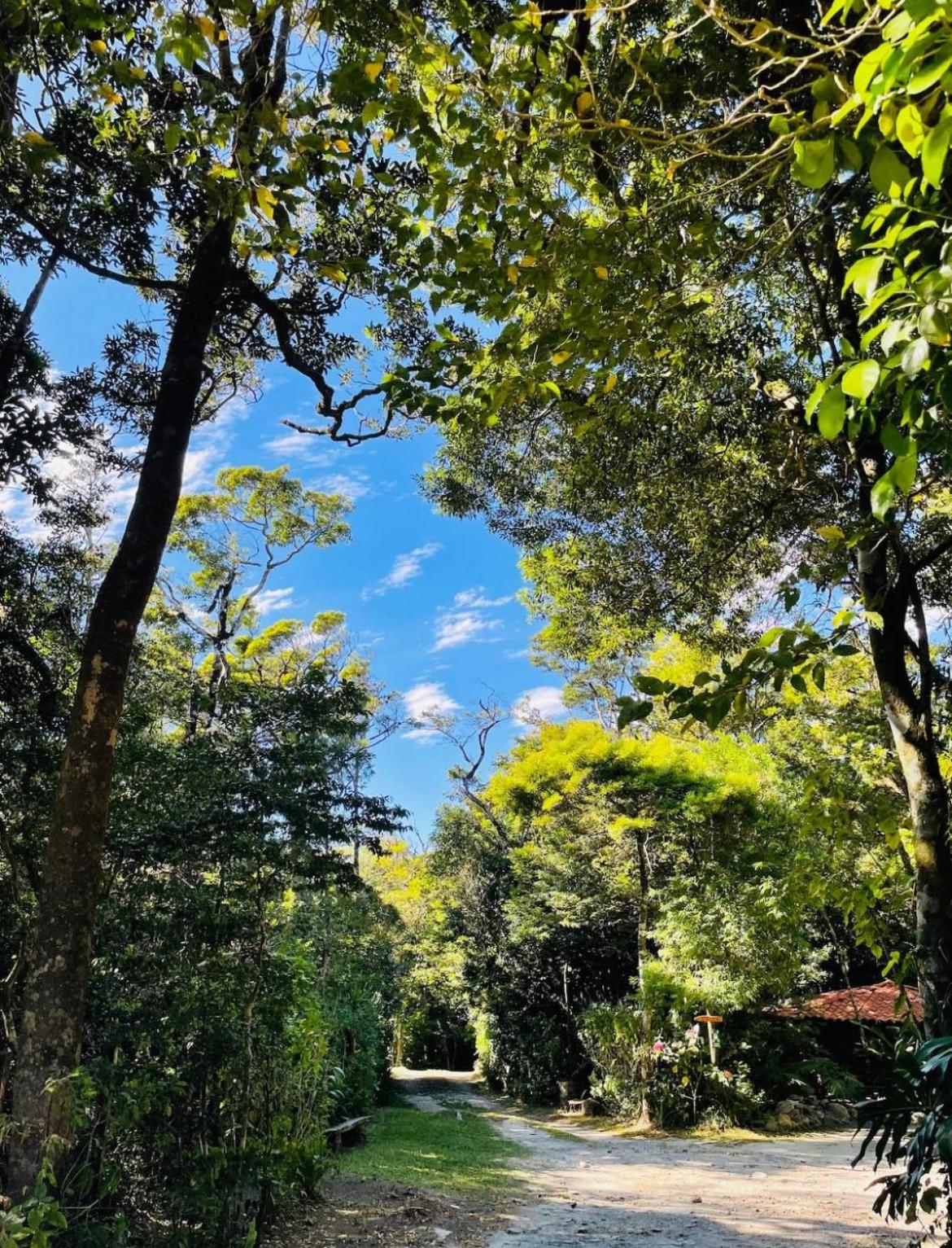 Cabañas La Montaña