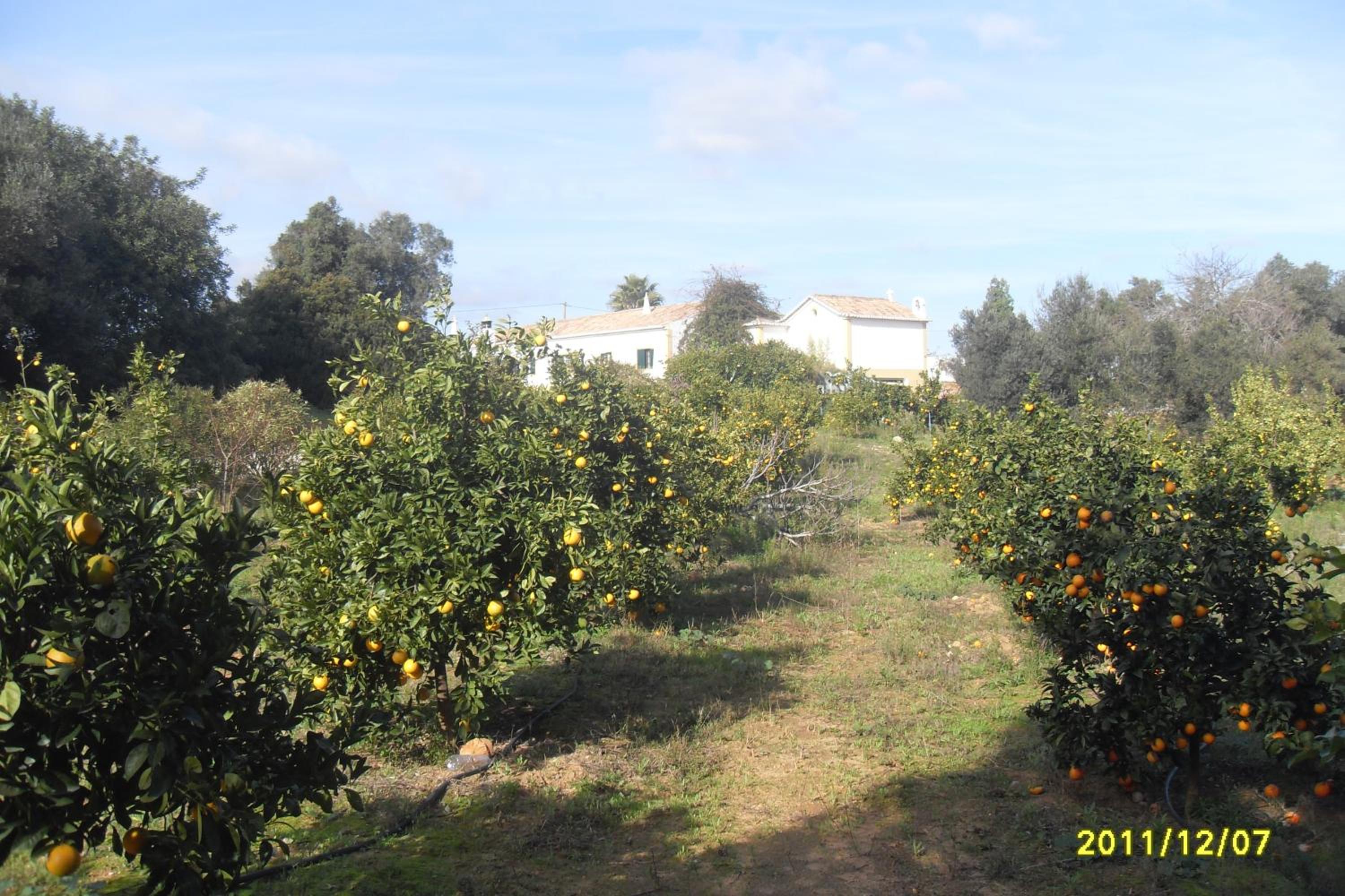 MONTE DAS AREIAS CASA DE CAMPO/PASSADIÇO/PATEO/RAMPA