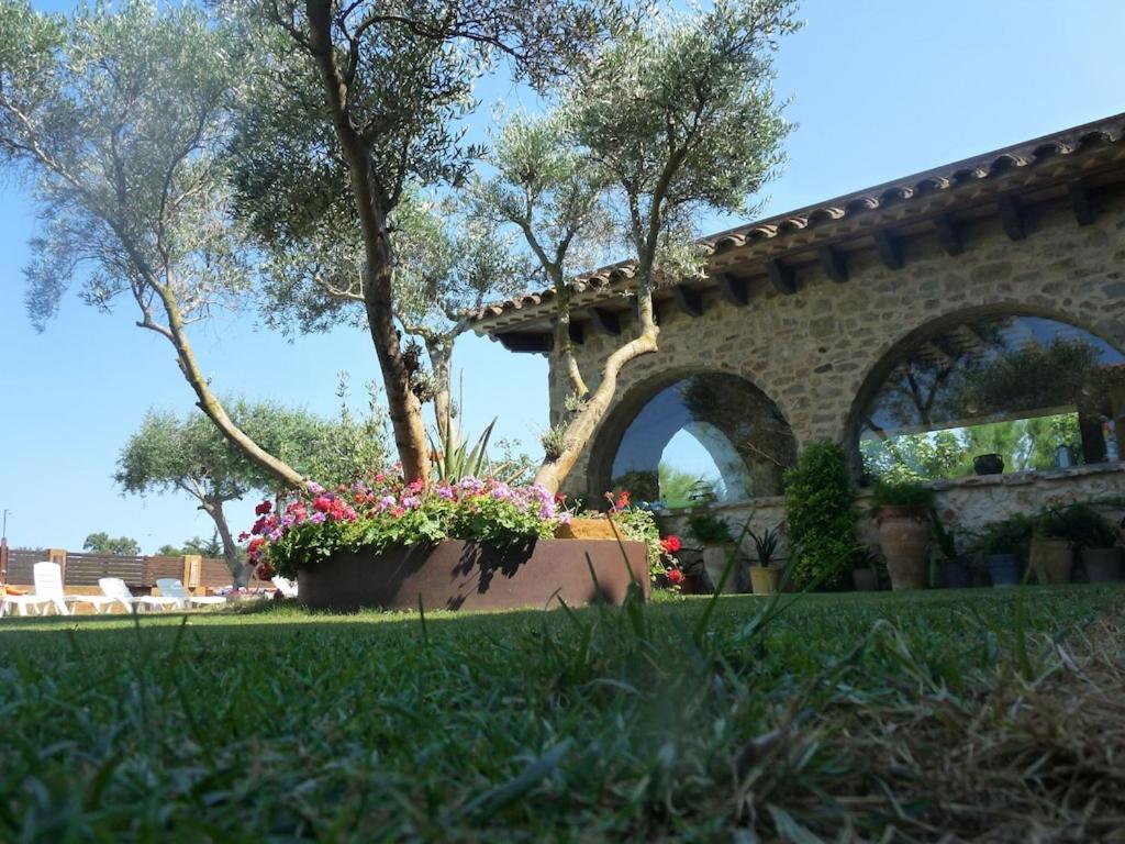 Photo 22