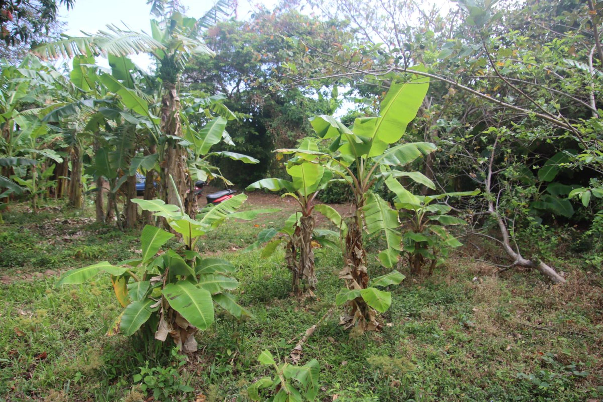Photo 24