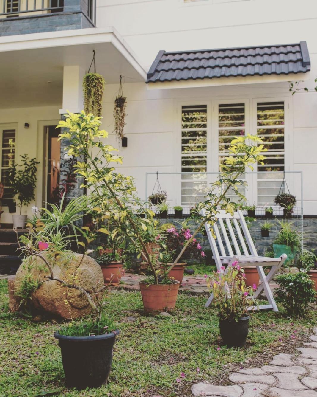 ROBUSTA FOREST Home stay view 4