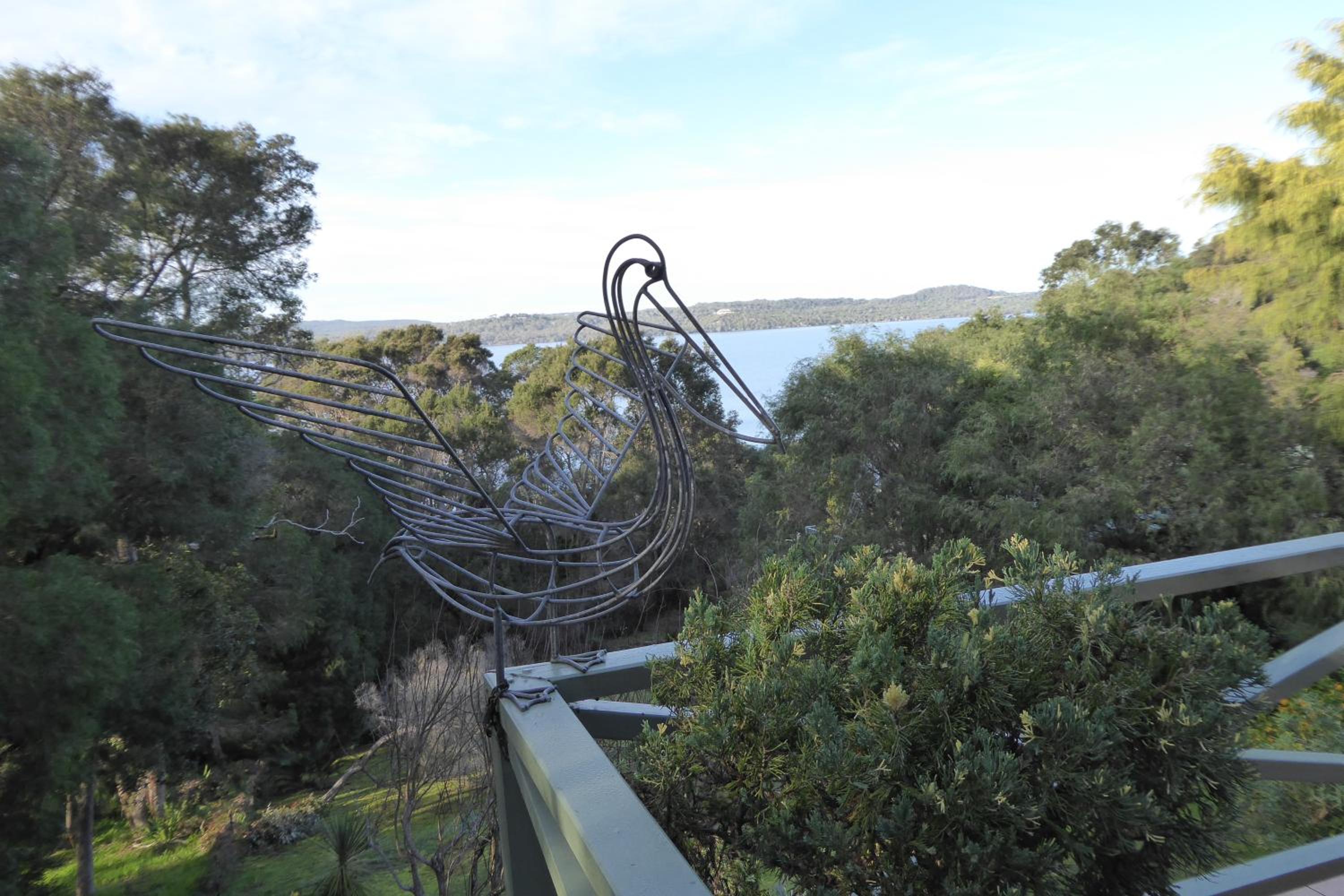 Sea Banksia