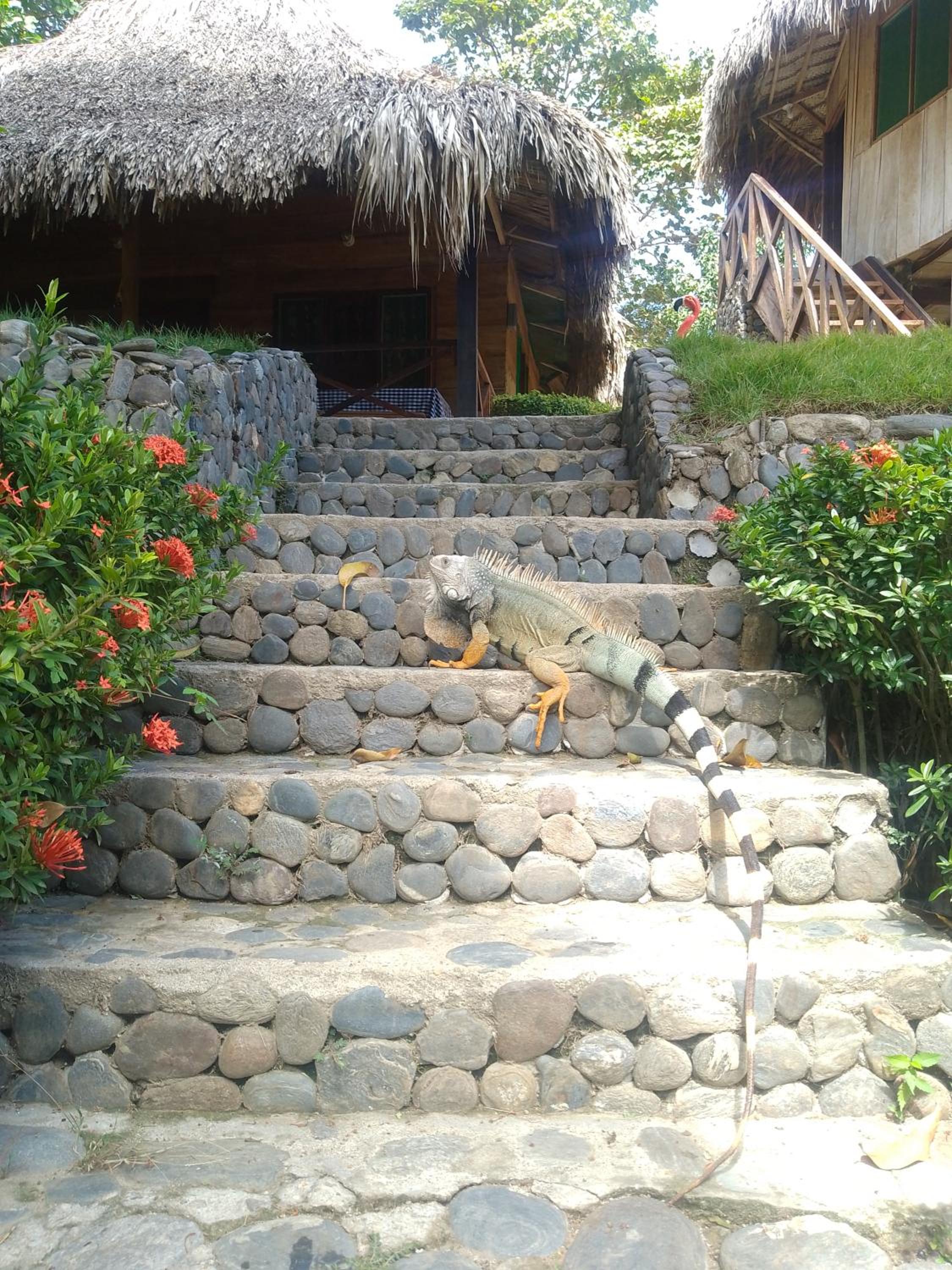 ECOCABAÑAS DIOSA JAGUAR tayrona