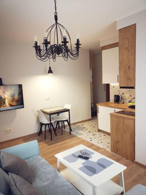 Apartamentai centre