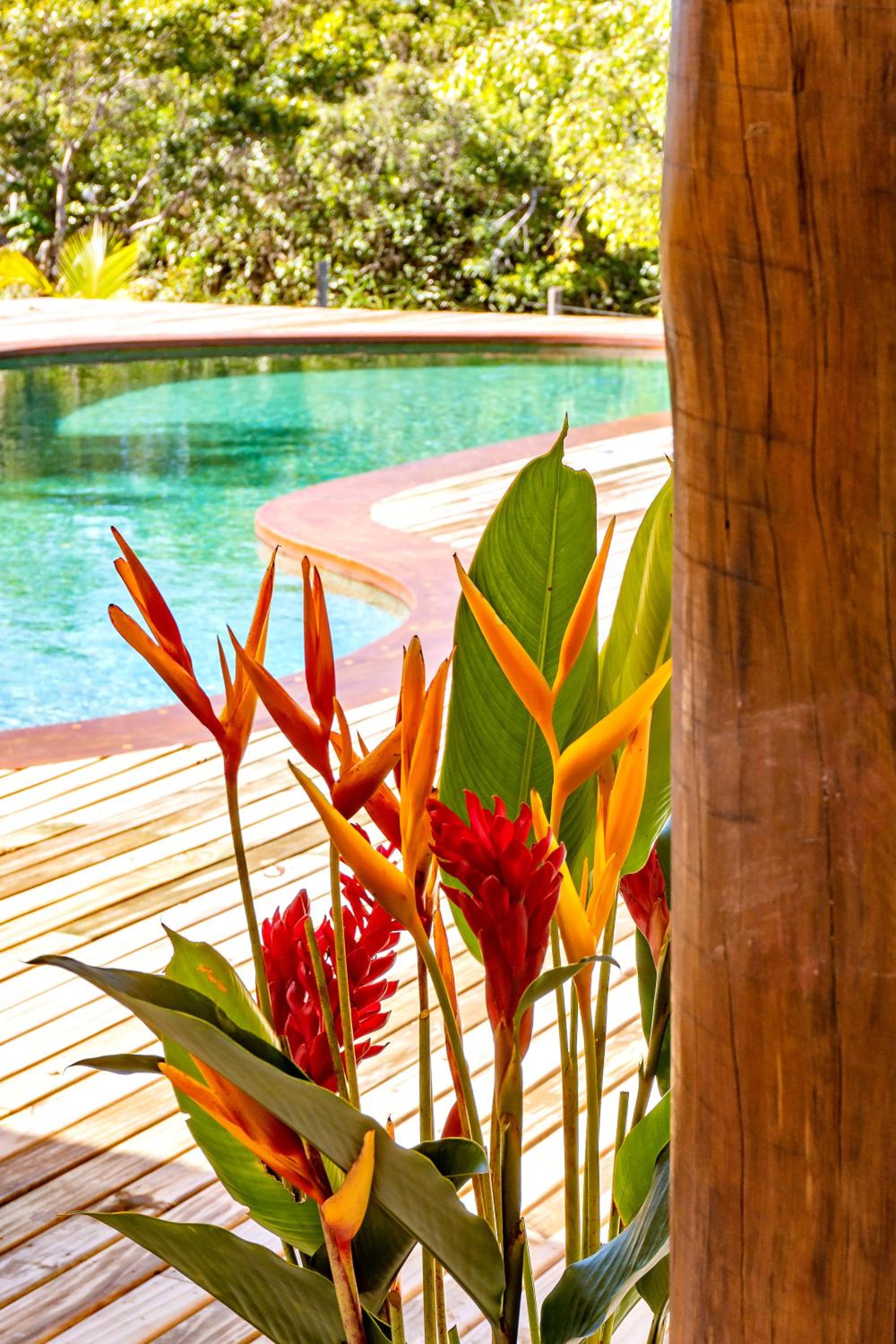 Casas Orixás em Trancoso