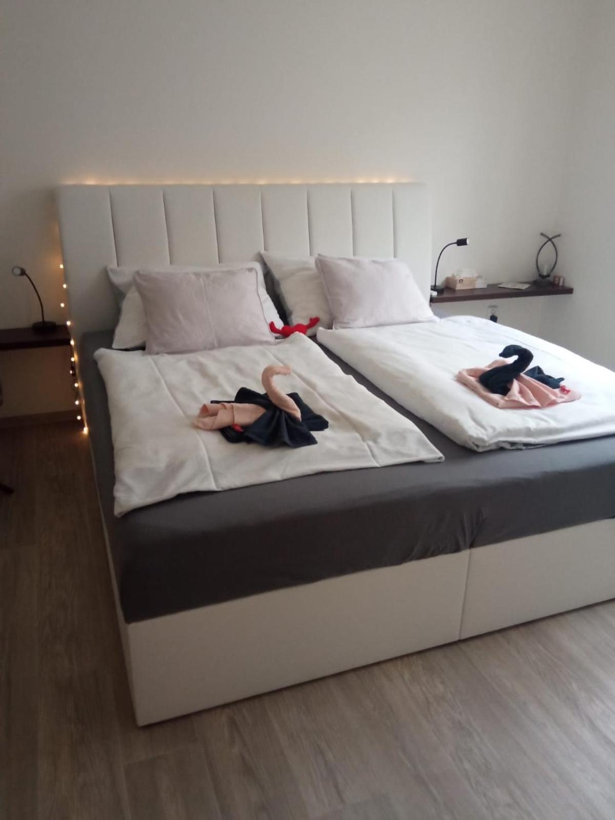 Academic Apartment Brno (AAB) 2+1 (62 m²) view 3