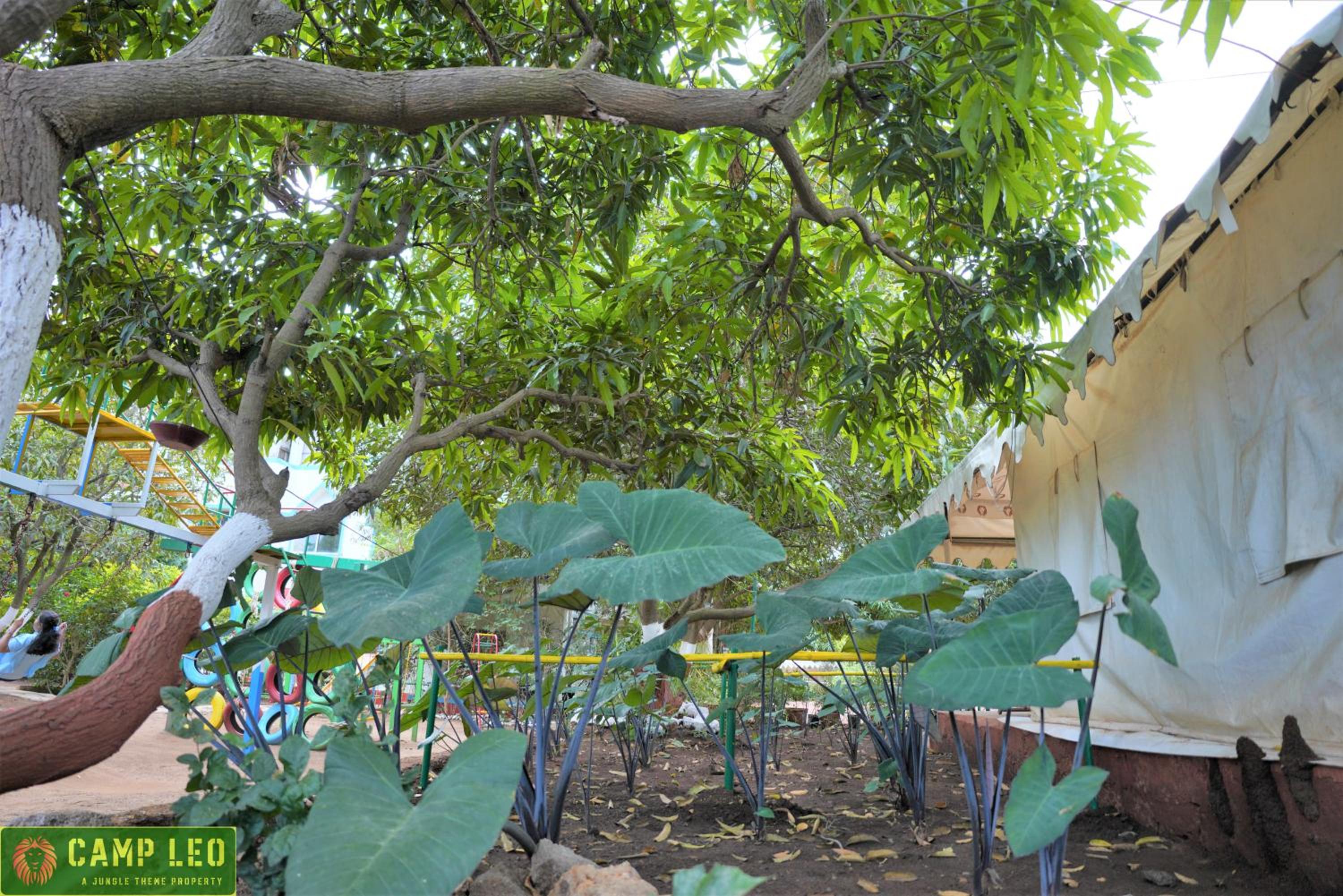 Photo 43