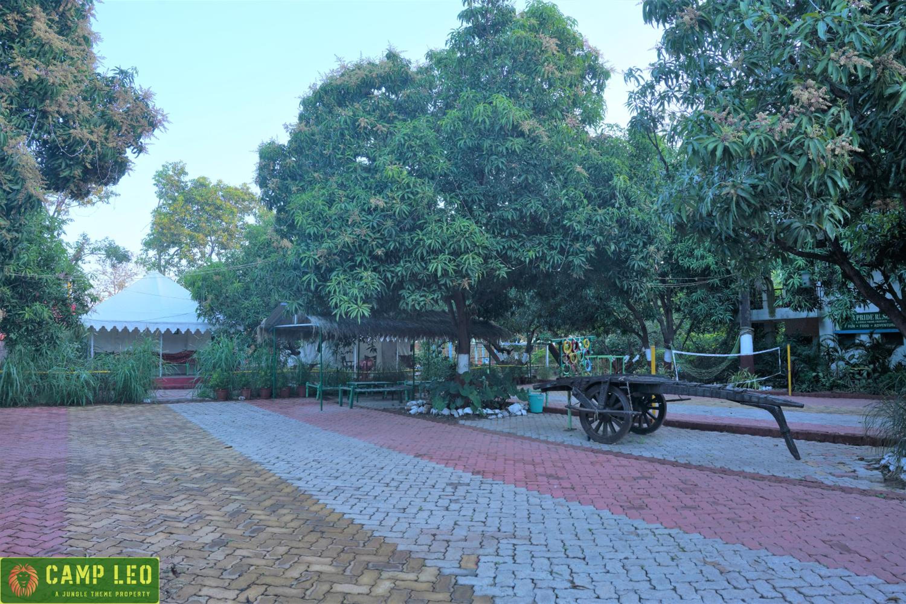 Photo 46