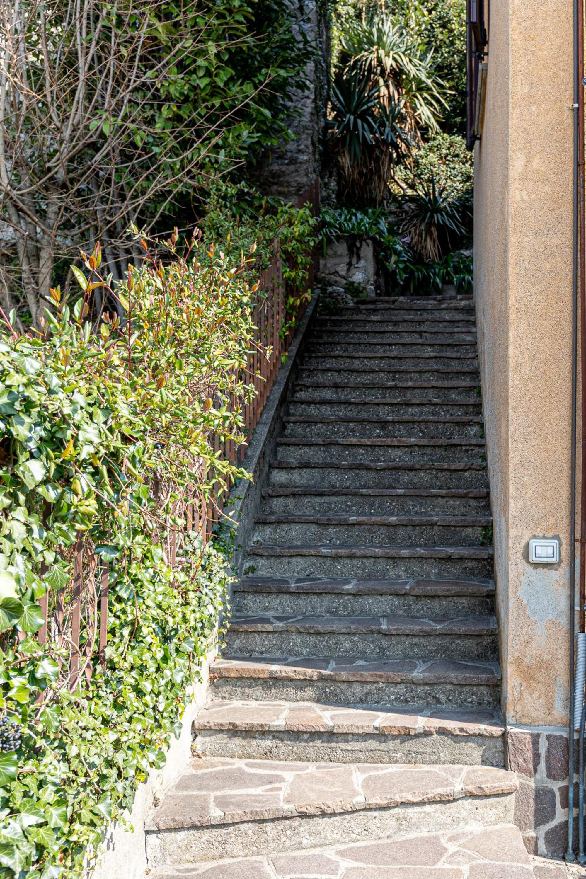Photo 45