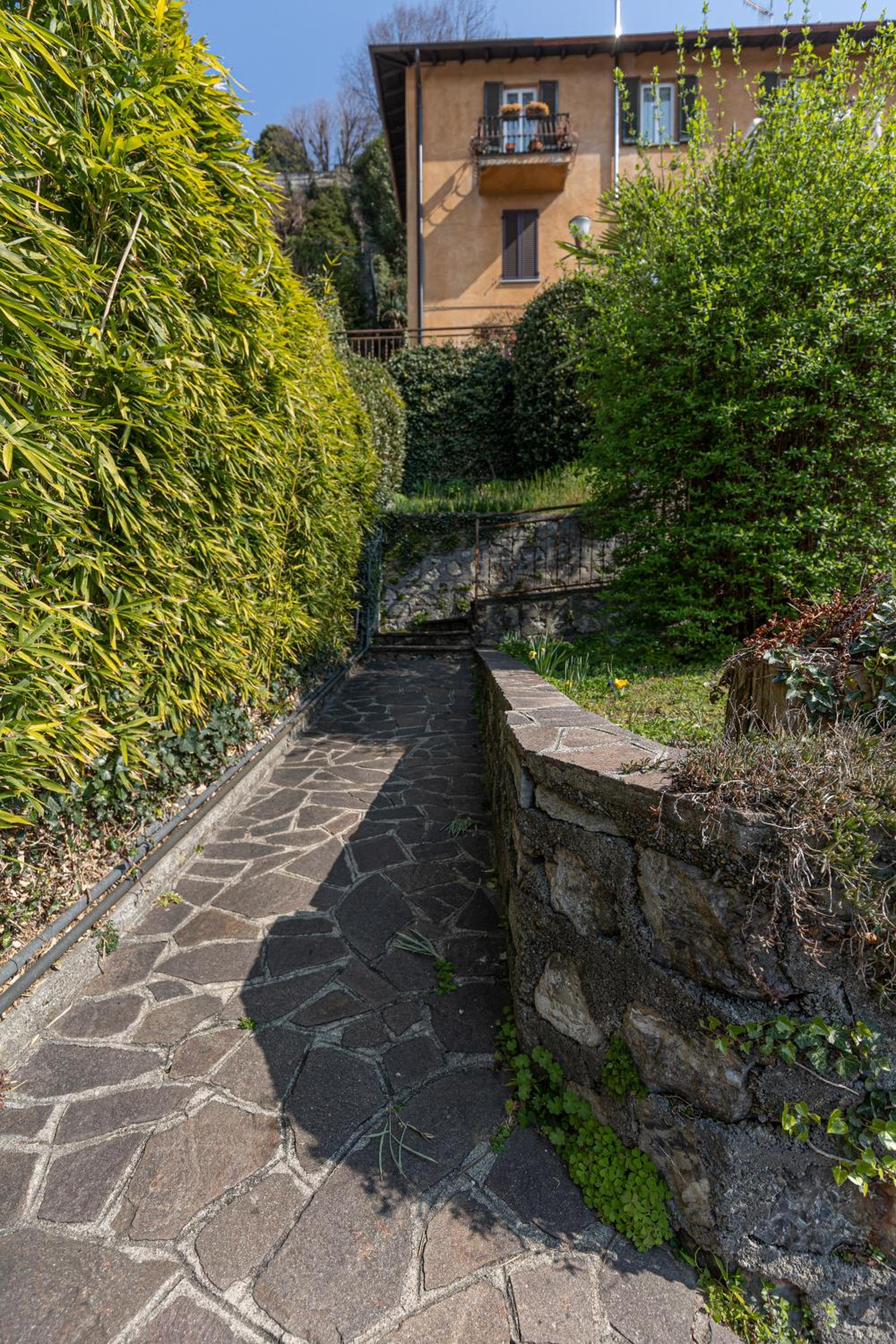 Photo 43