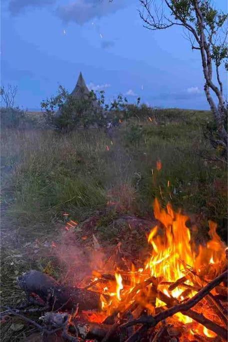 Photo 40