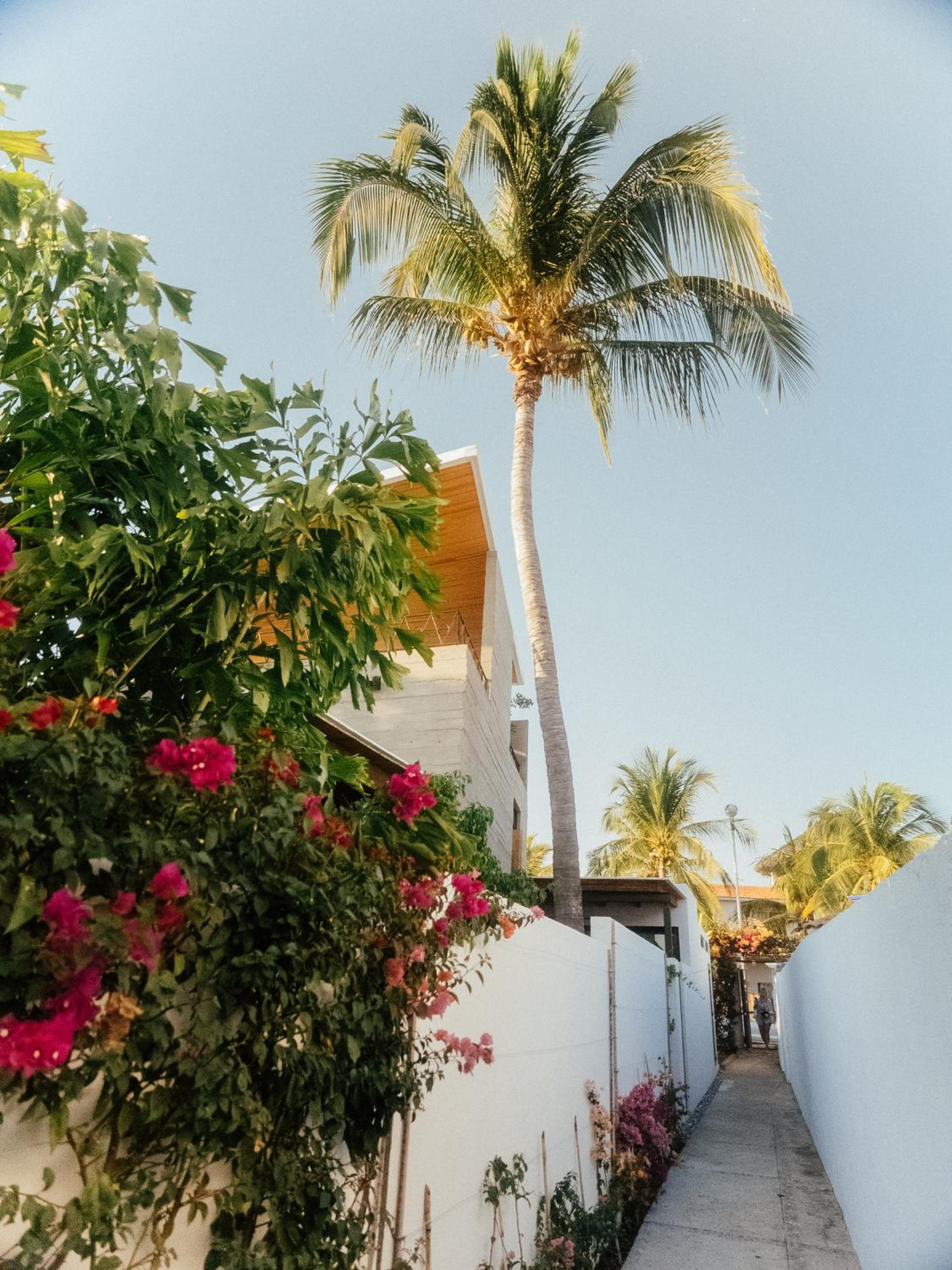 Casa Pelicano view 4