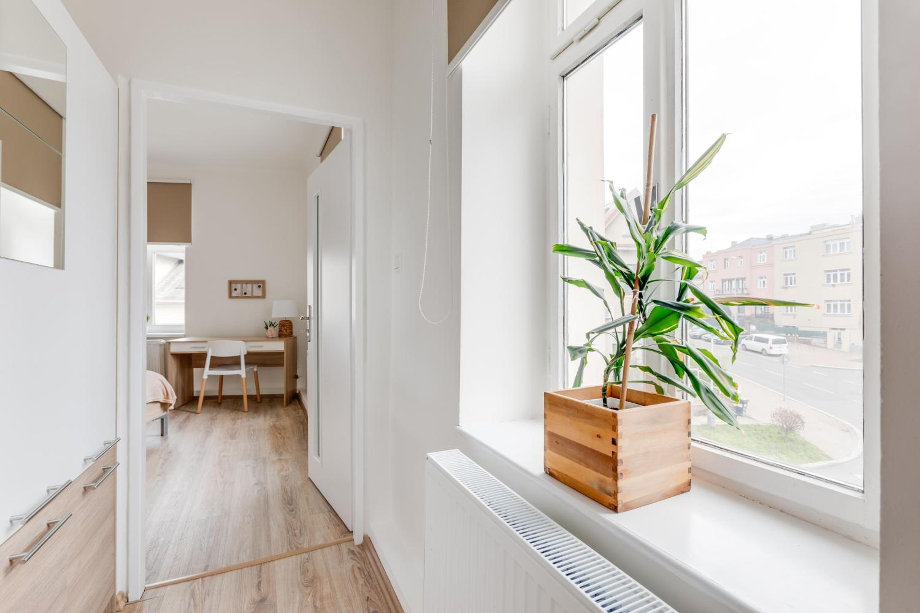 Modern, bright and spacious apartment