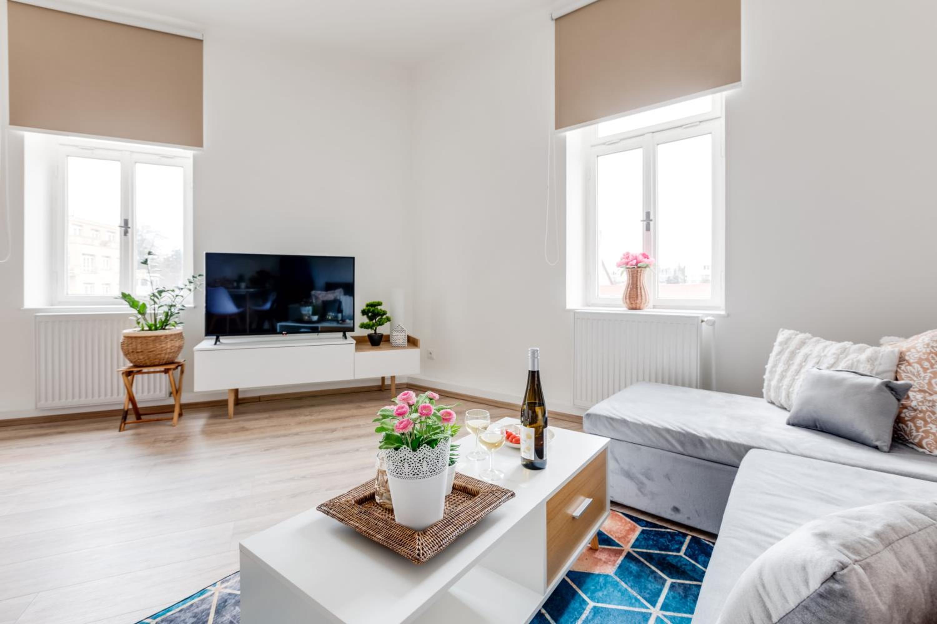 Modern, bright and spacious apartment