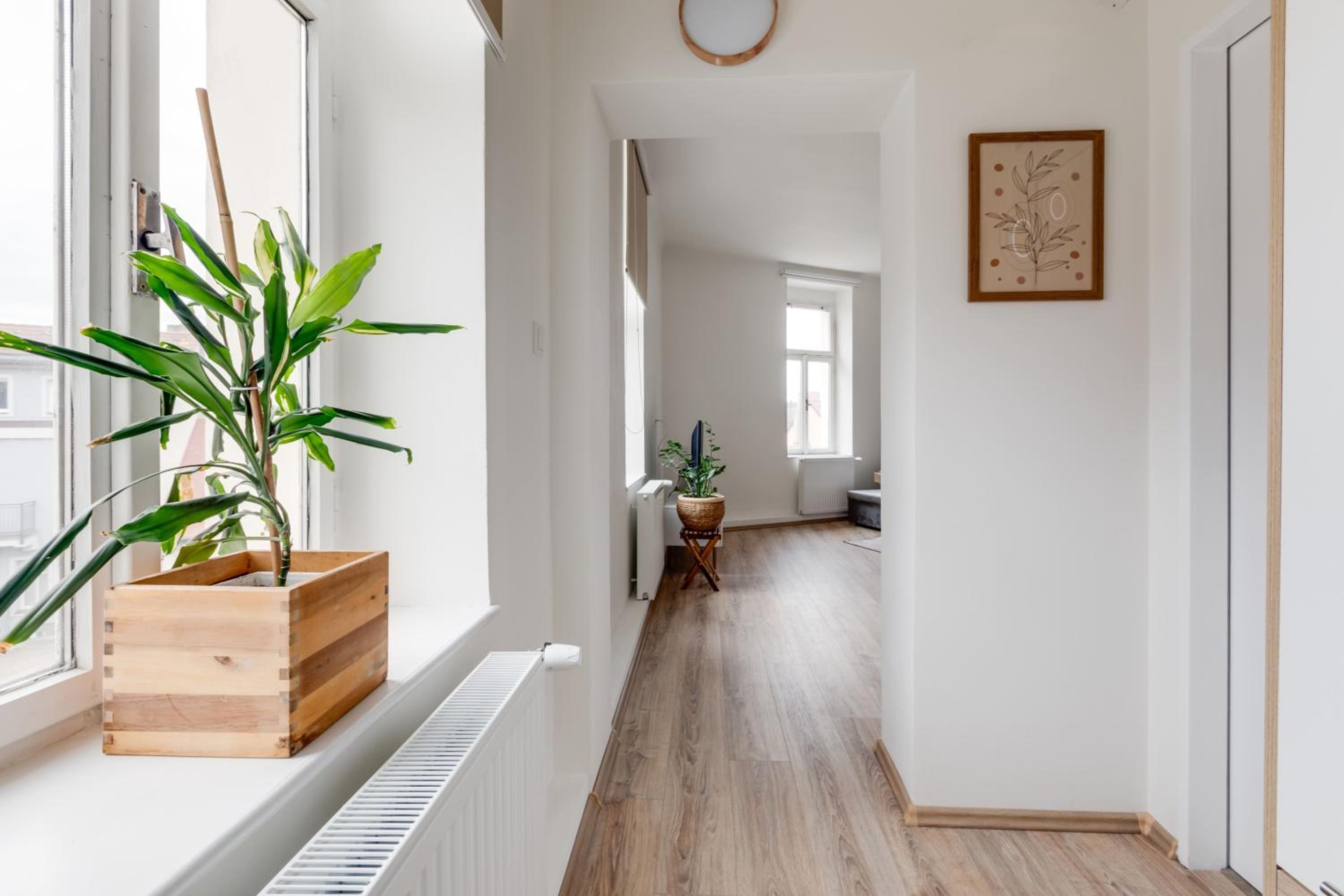Modern, bright and spacious apartment