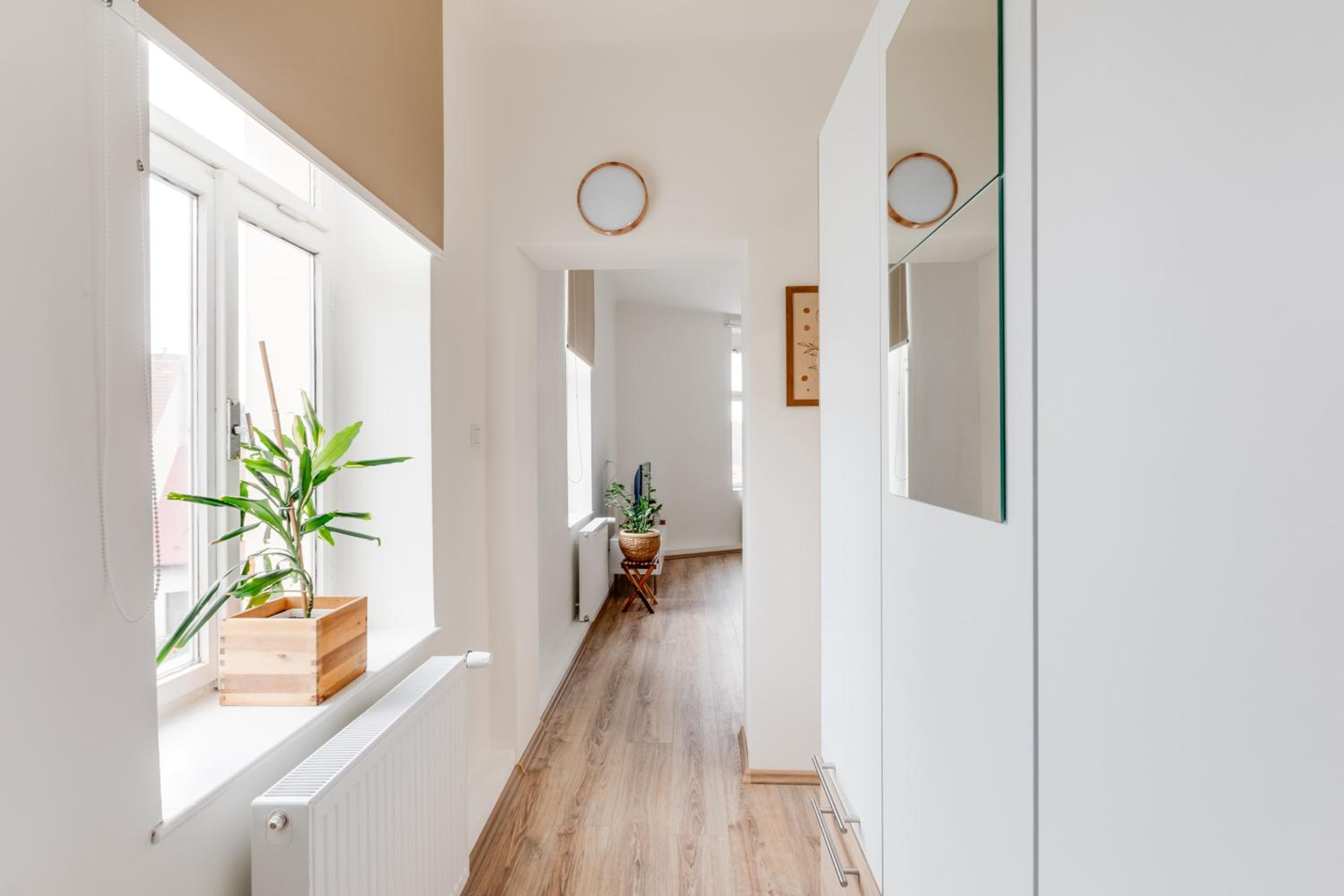 Modern, bright and spacious apartment