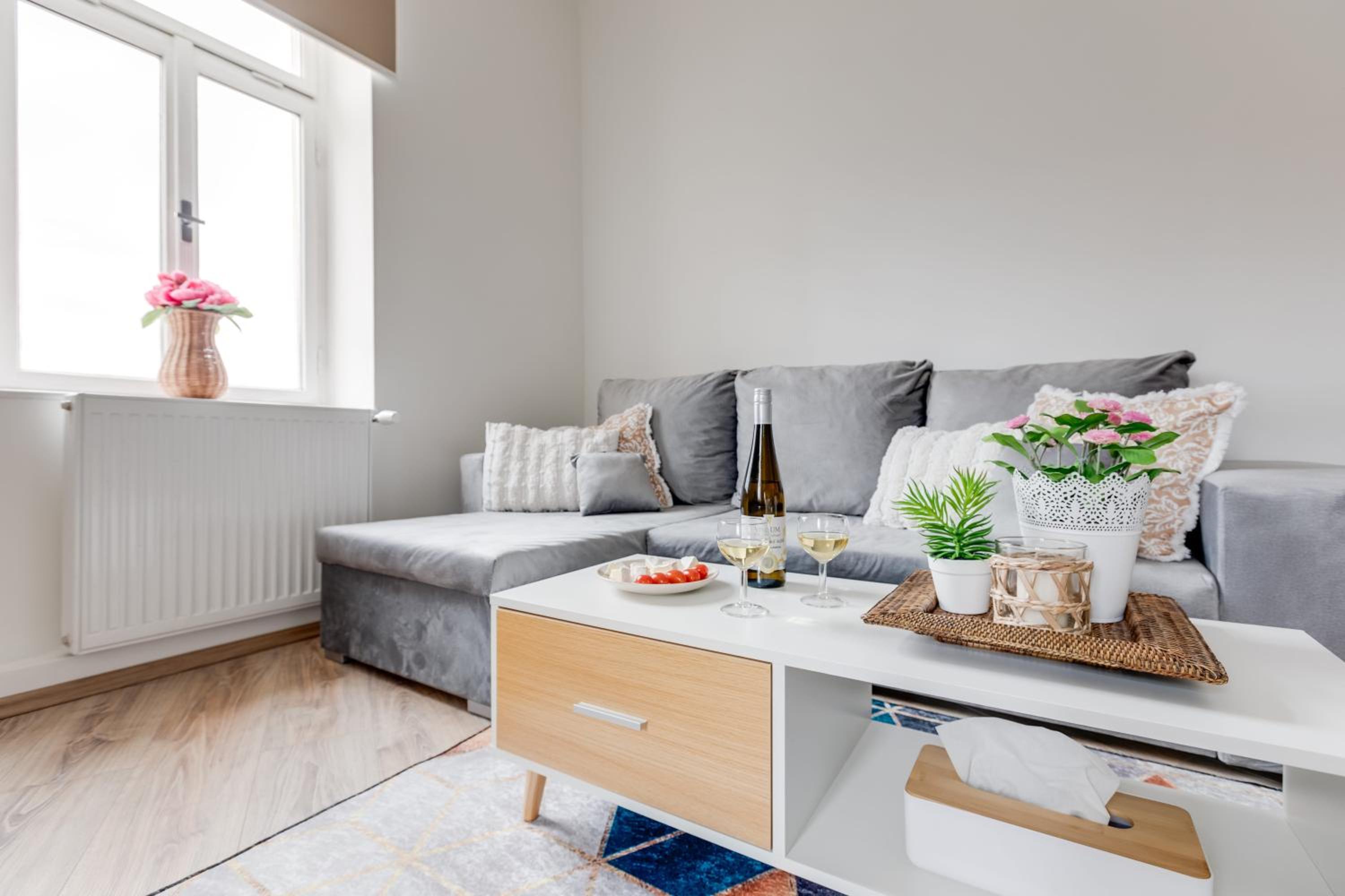 Modern, bright and spacious apartment