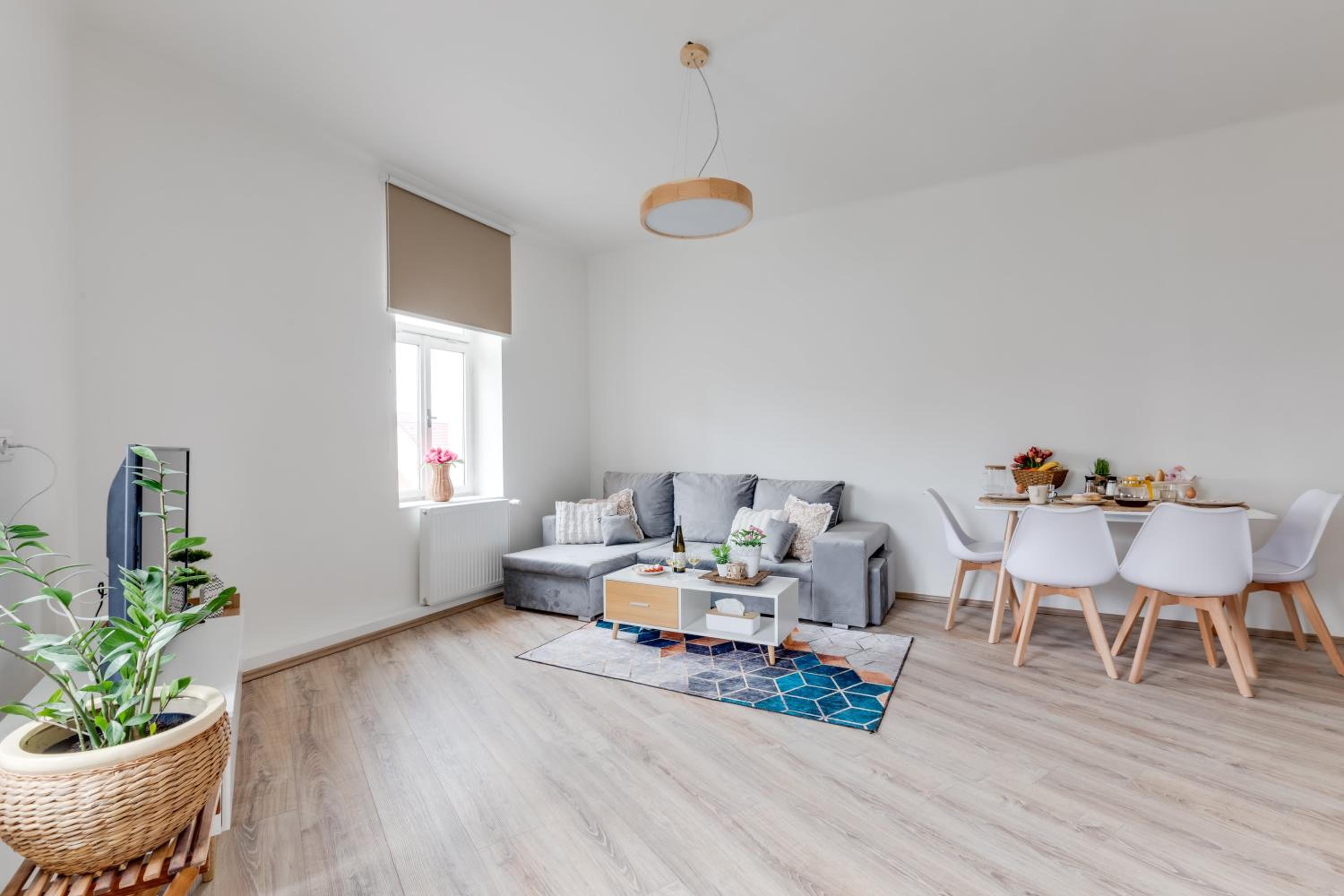 Modern, bright and spacious apartment