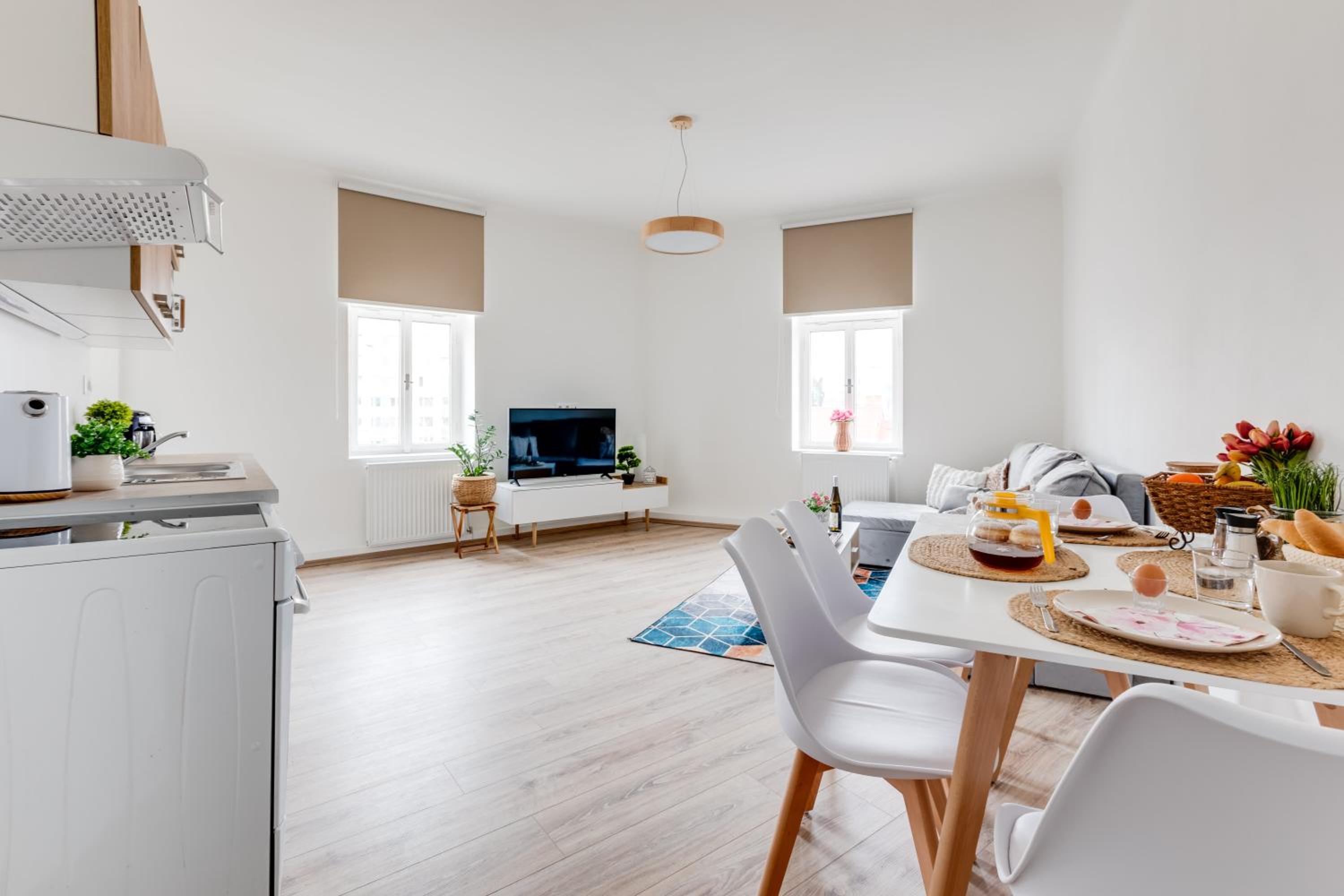 Modern, bright and spacious apartment