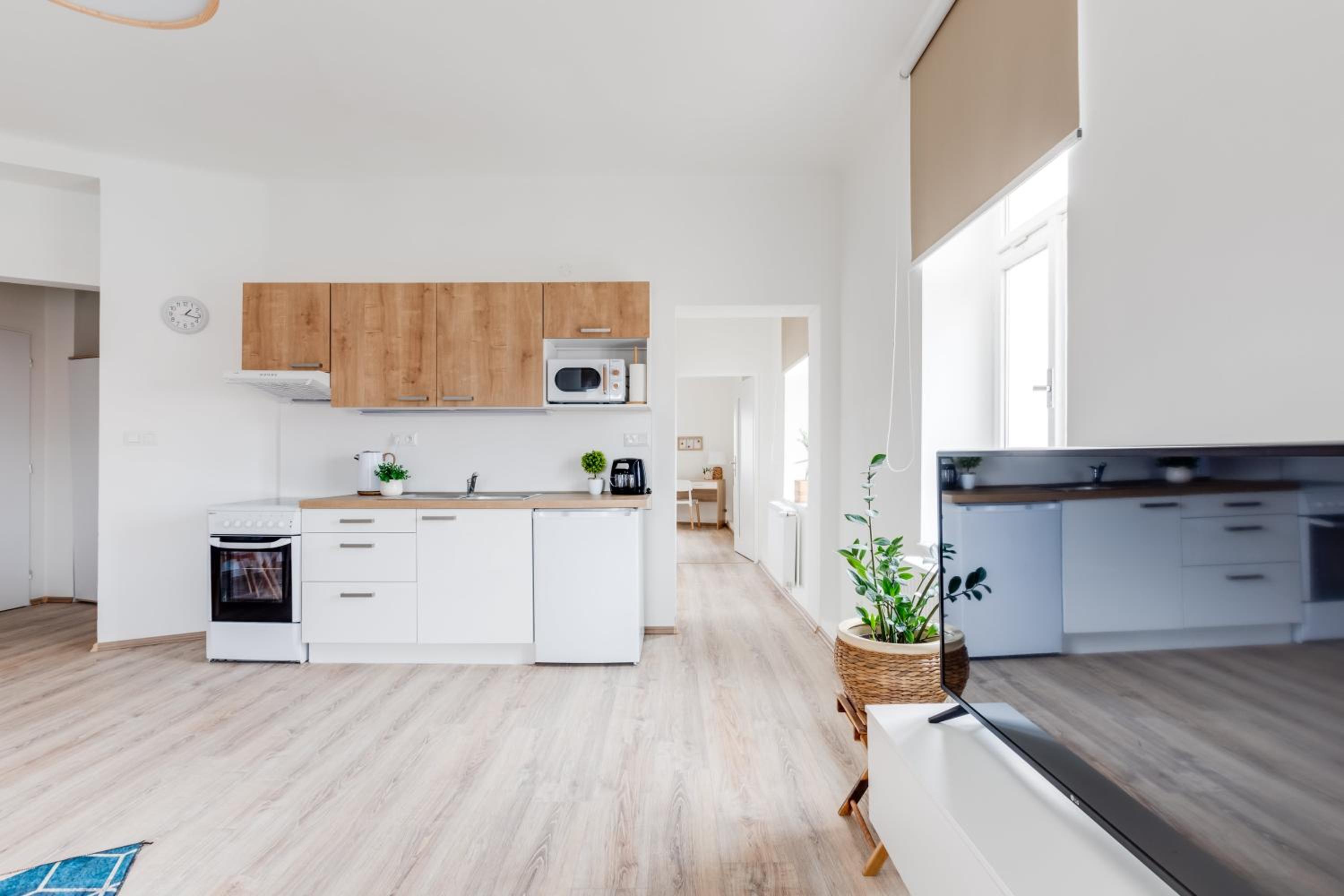 Modern, bright and spacious apartment