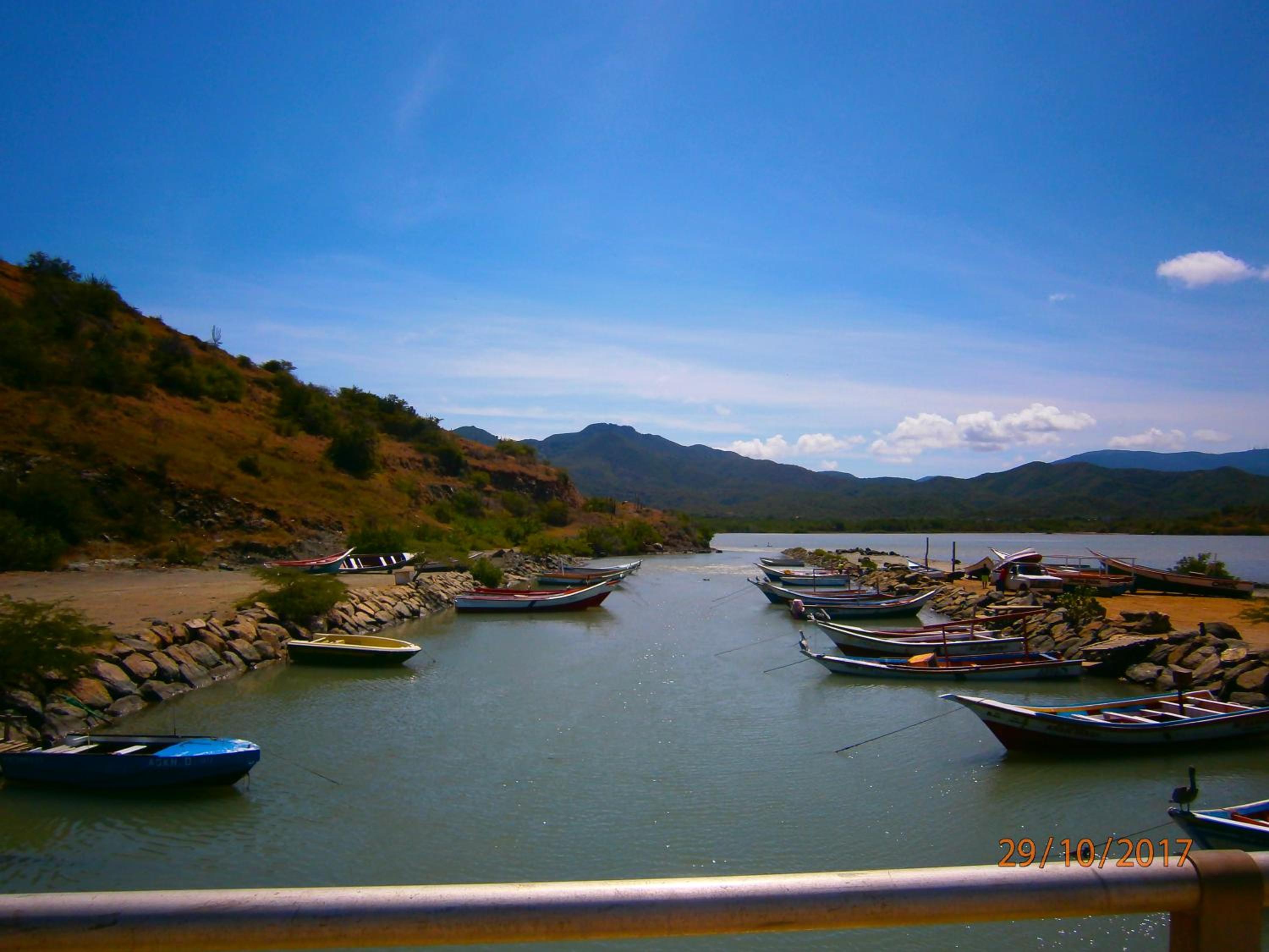 Photo 45